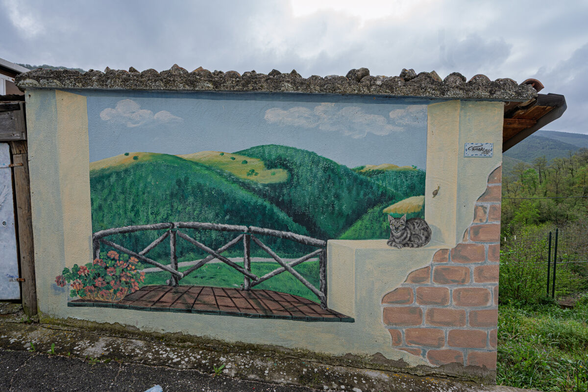 Cacciano