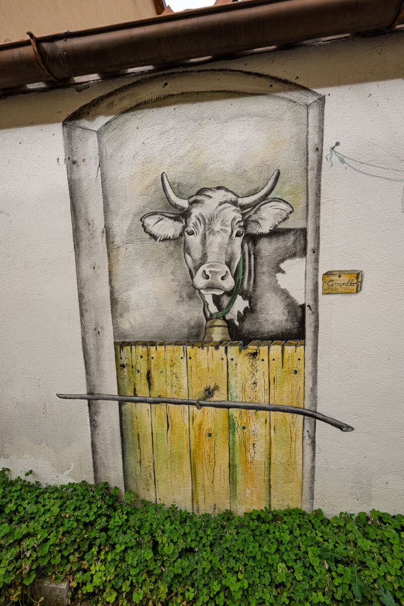 Cacciano