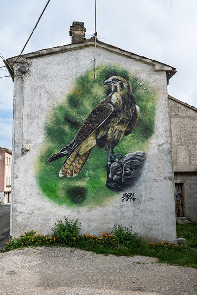 Foto