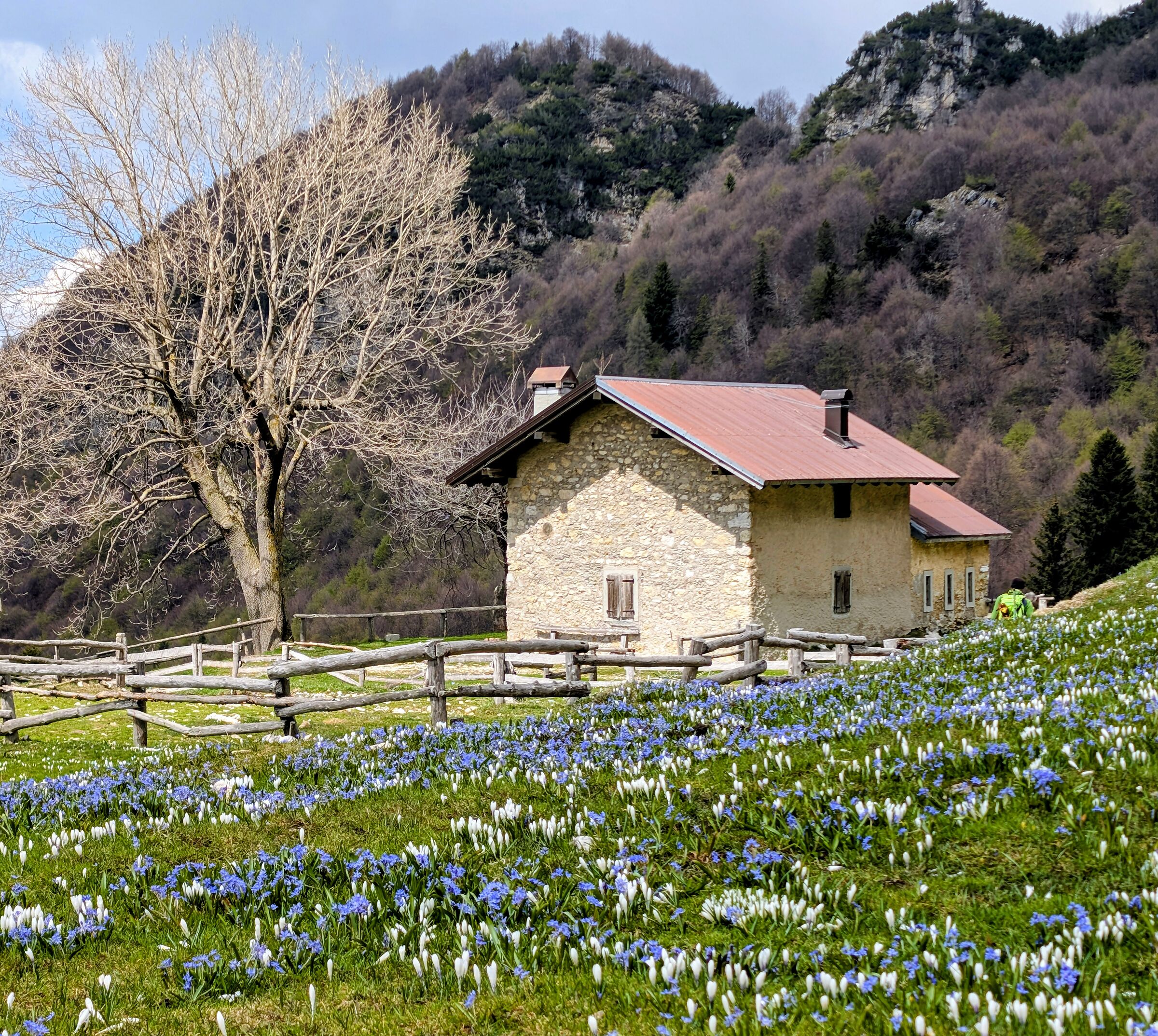 malga Boffental
