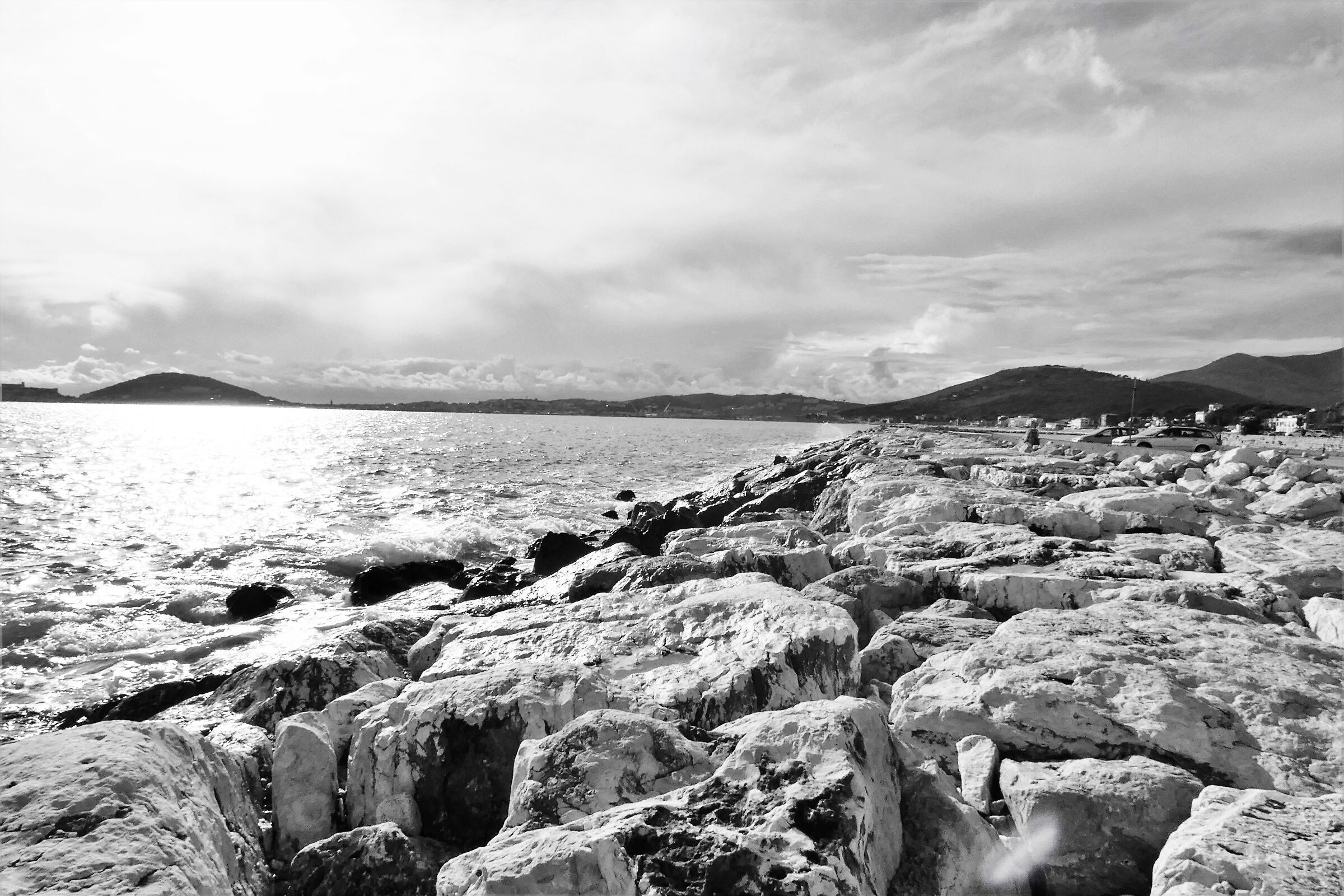Untitled Photo