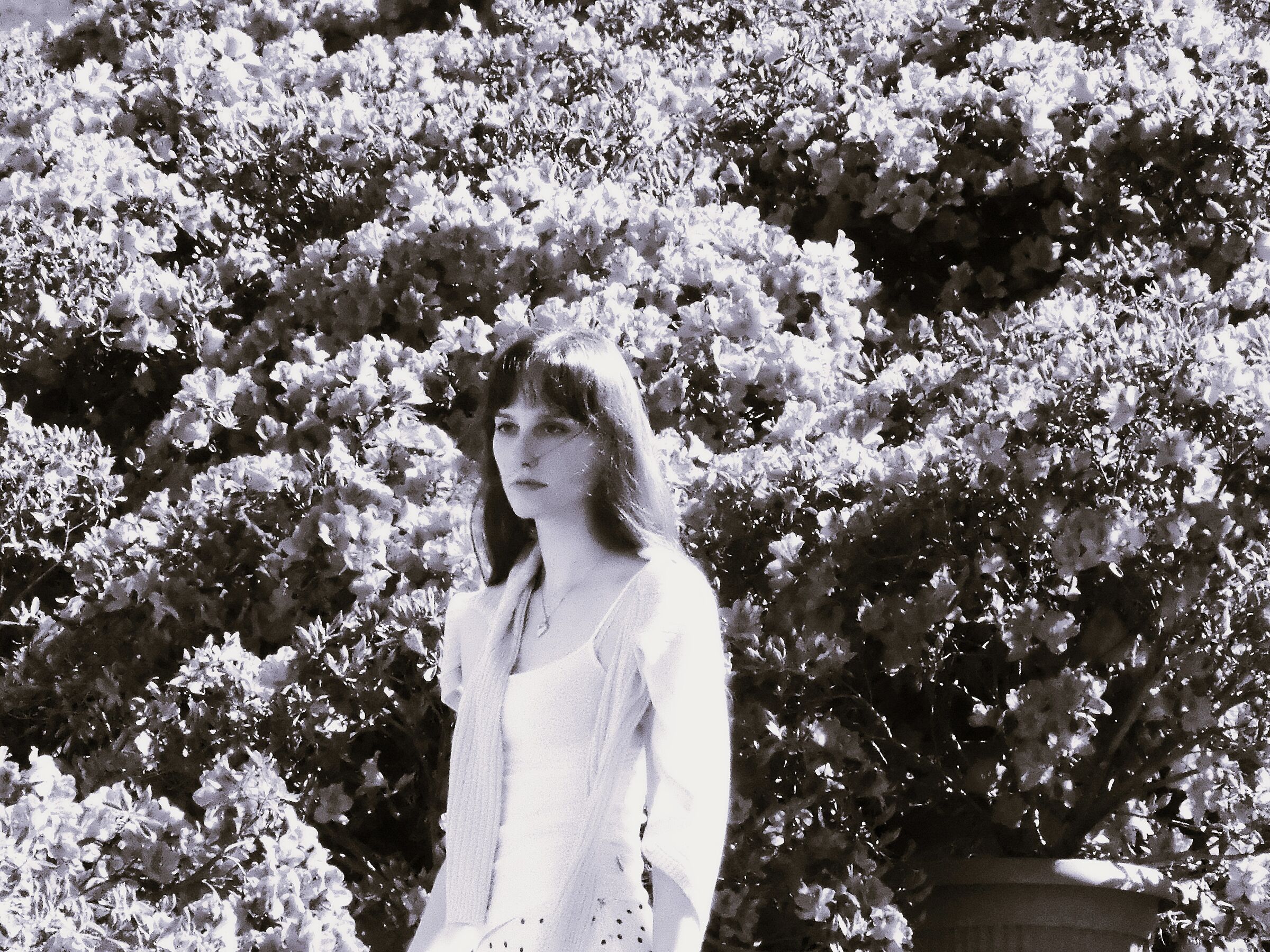 among the azaleas of Trinità dei Monti