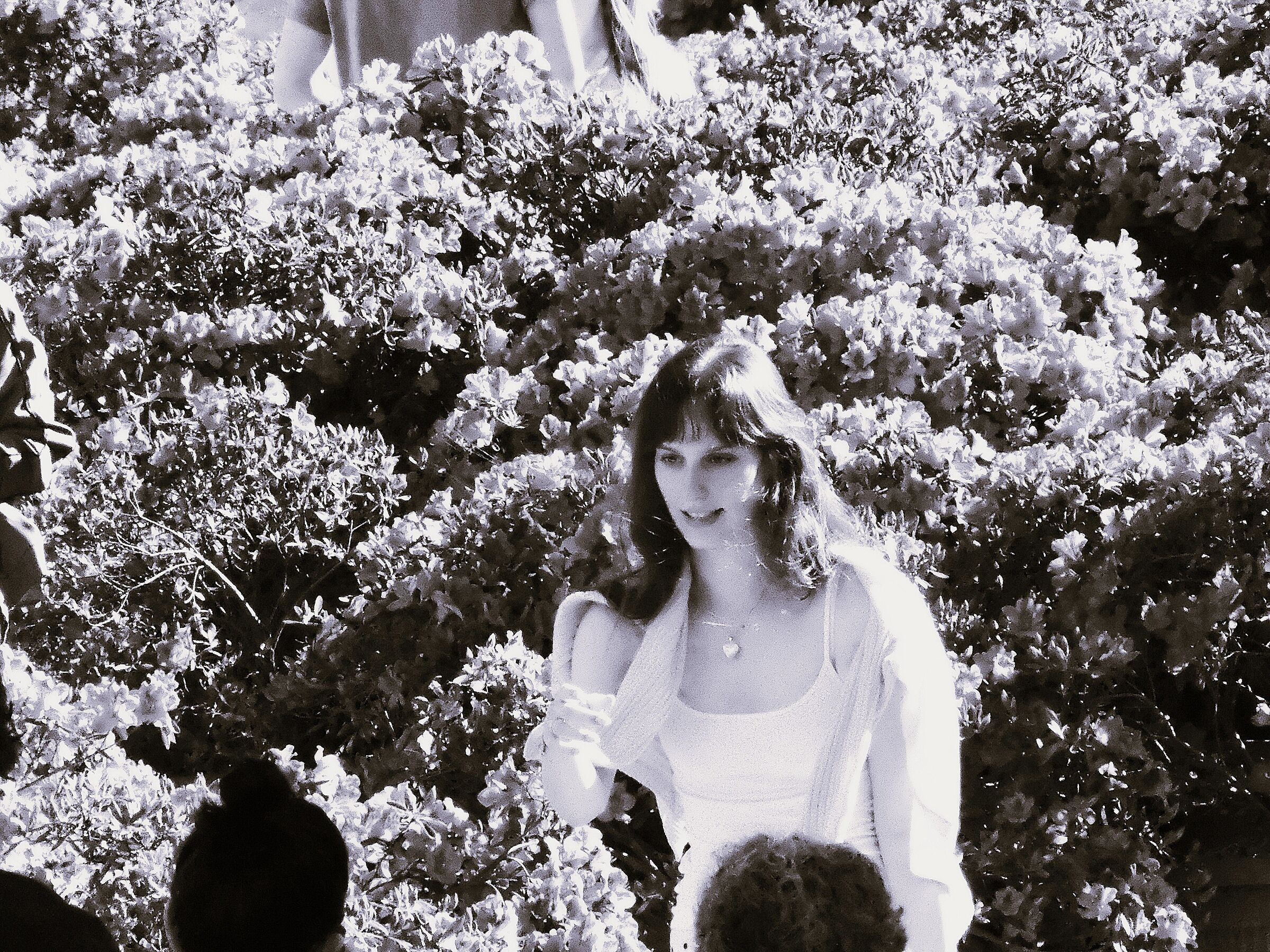 among the azaleas of Trinità dei Monti