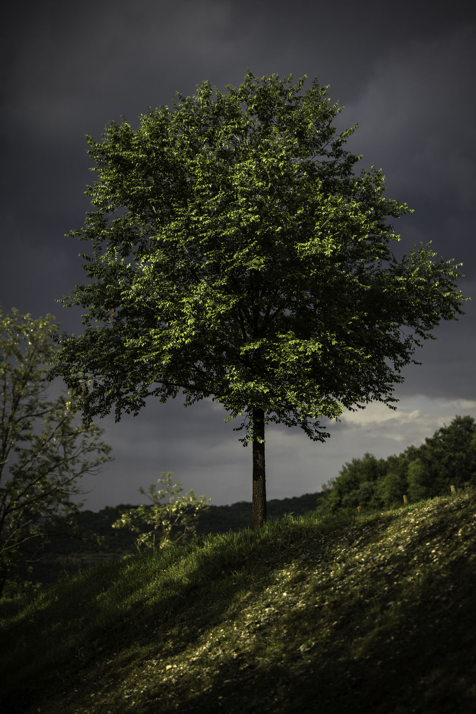 After the storm