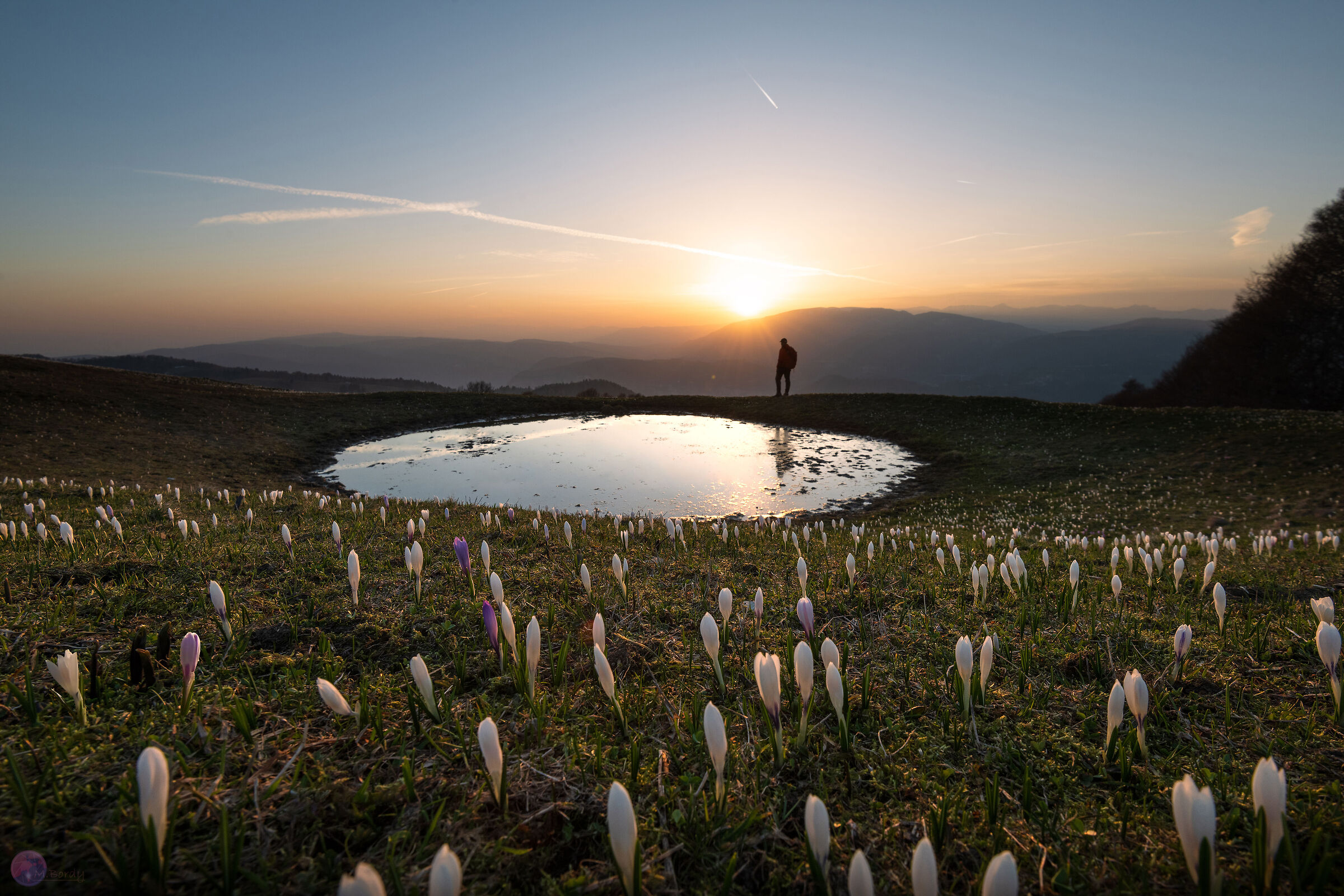 The spring that dawns