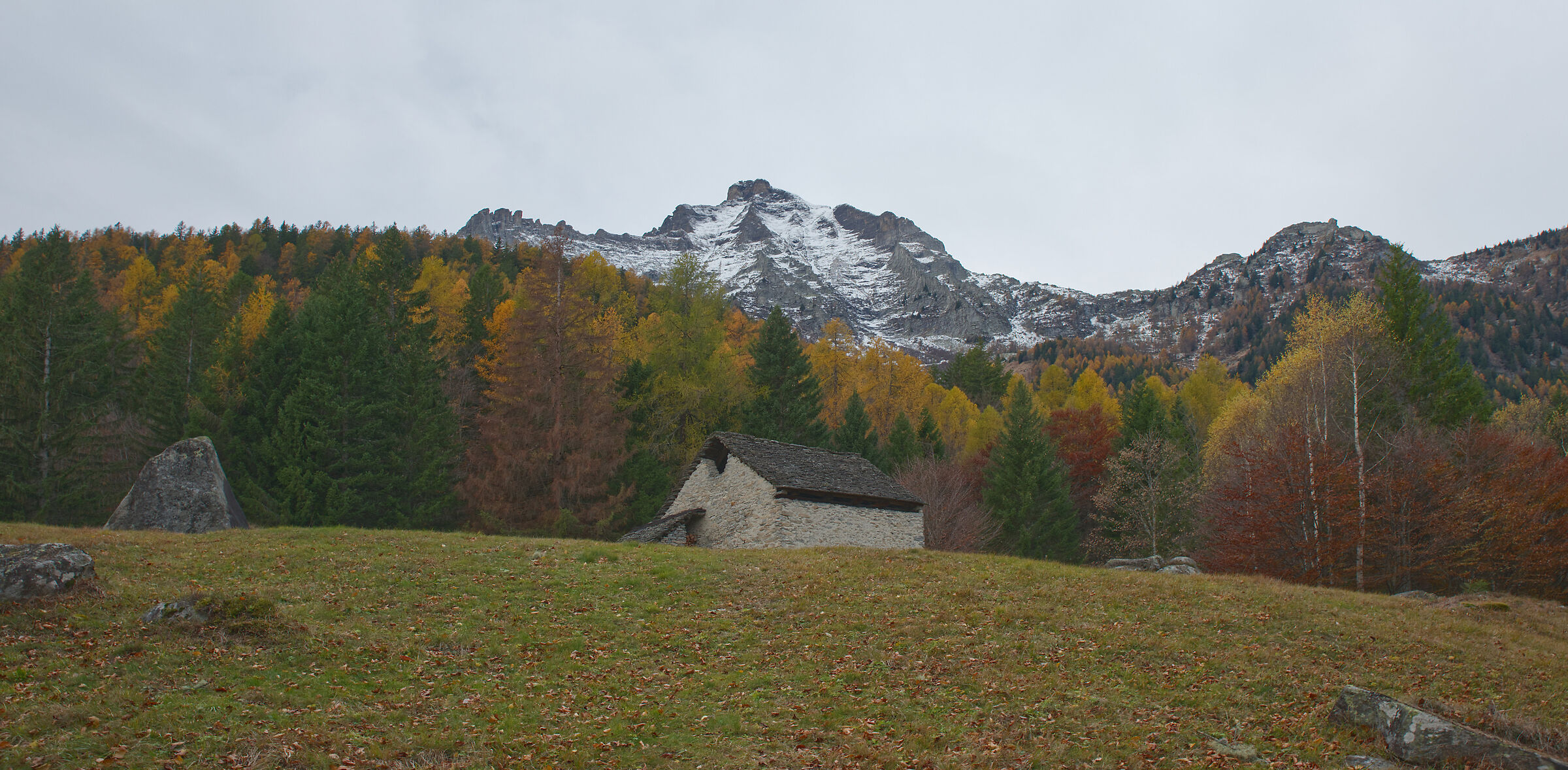 Val d'Ossola-the mountain pastures above Crodo