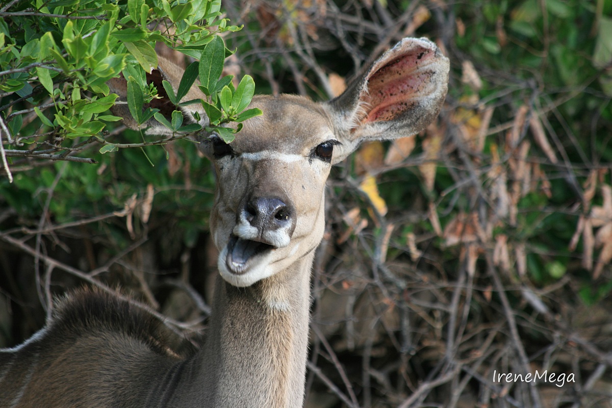 Per far passare il cattivo umore