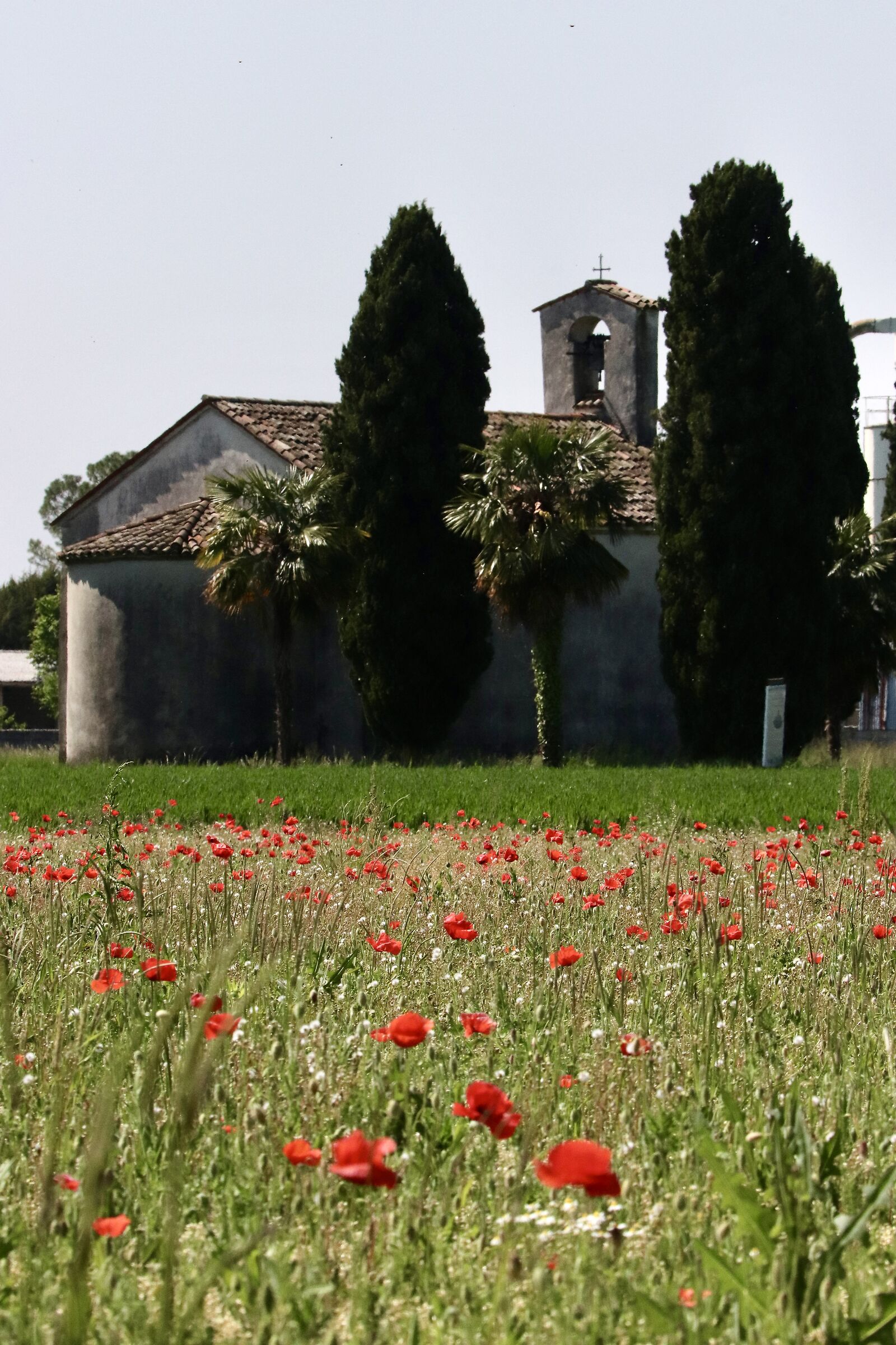The country church of San Michele in Trivignano