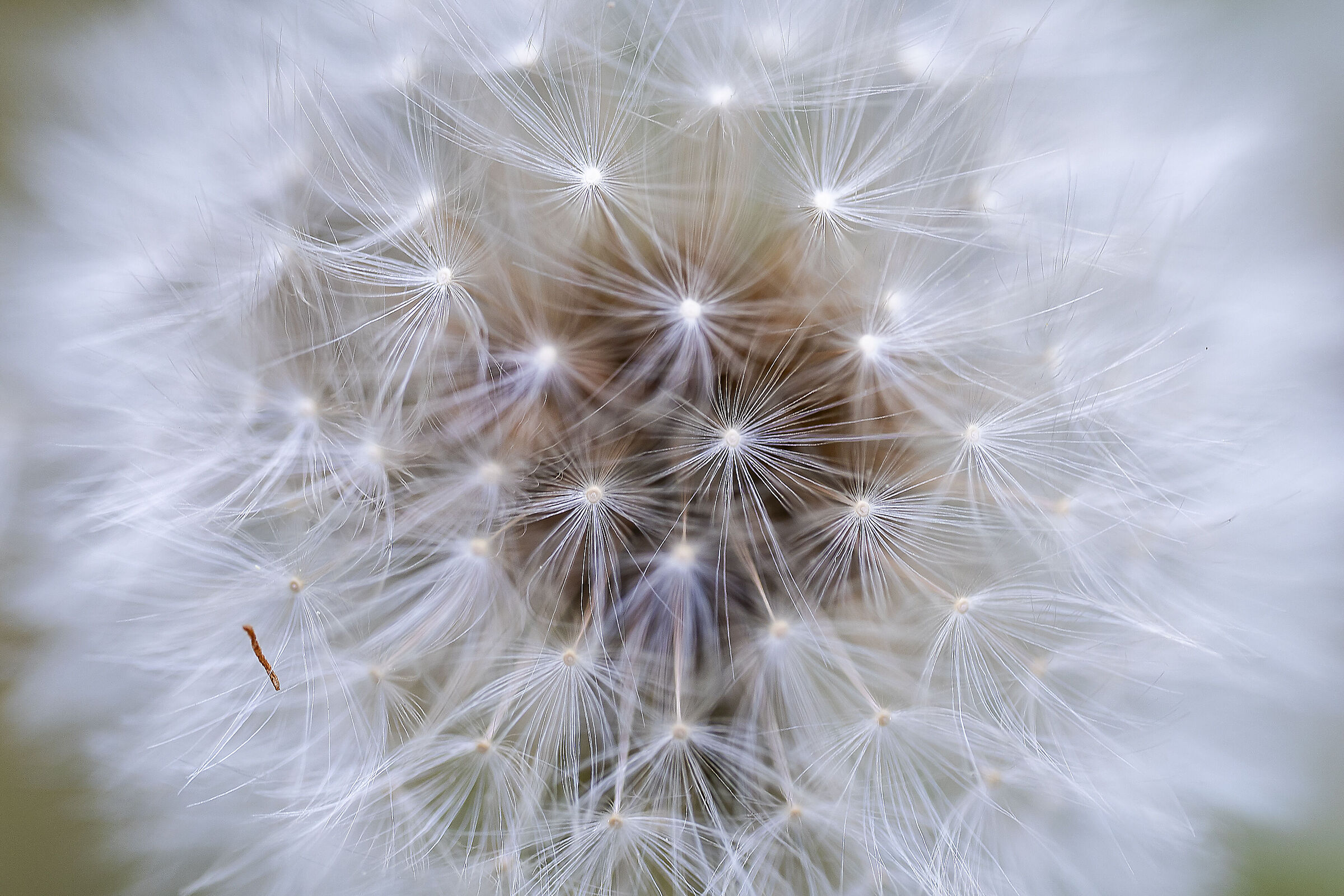 Synapse-like