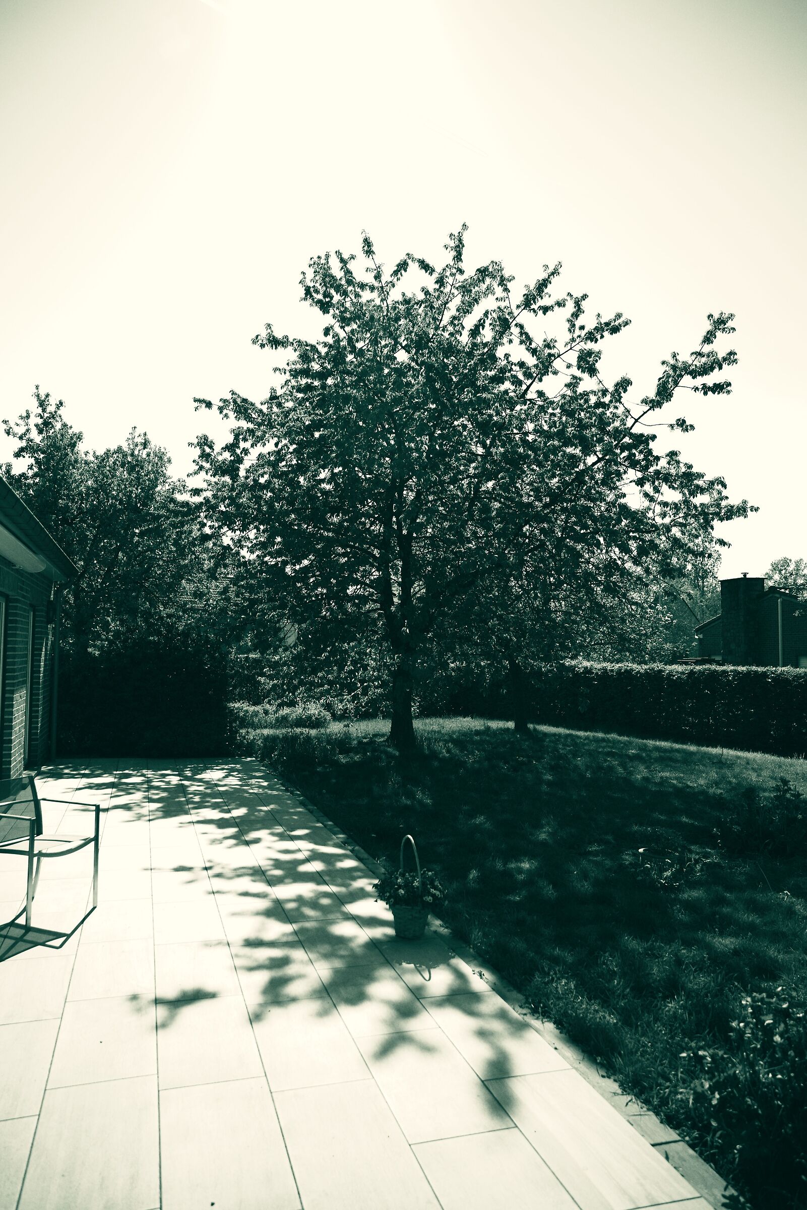 Vista del giardino in primavera