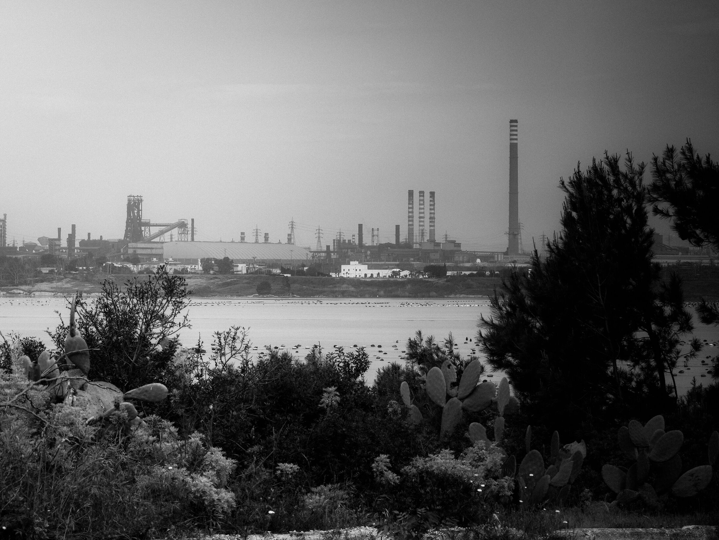 Natura e contro natura
