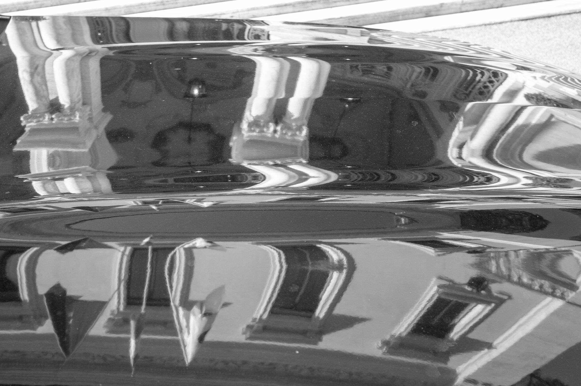 Untitled Photo