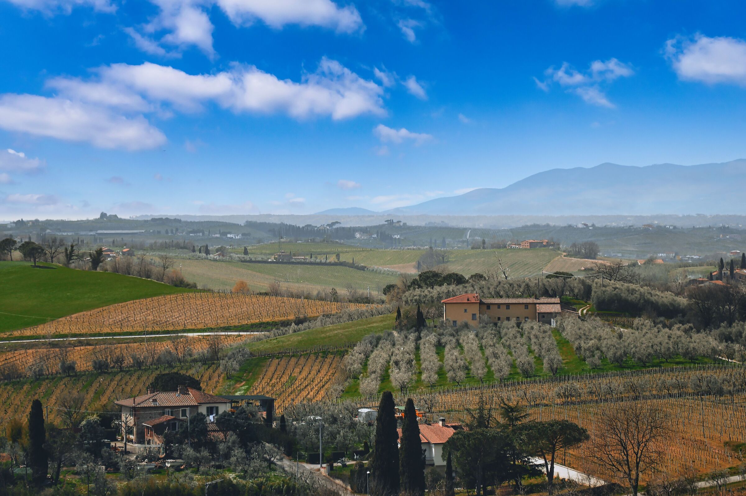 Paesaggio rurale
