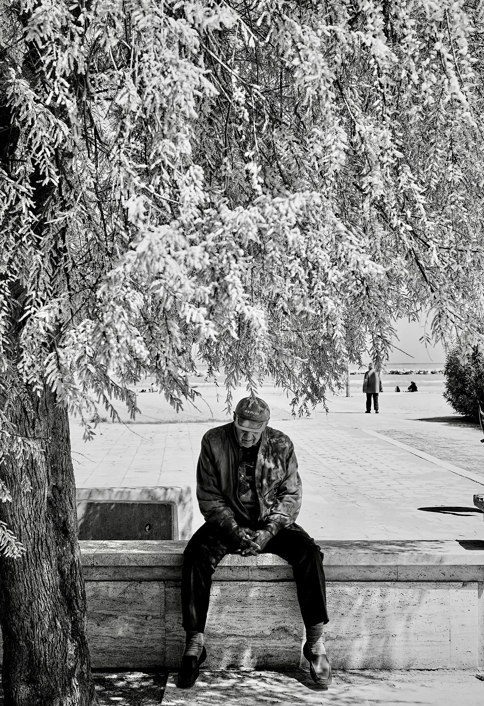 Untitled Photo