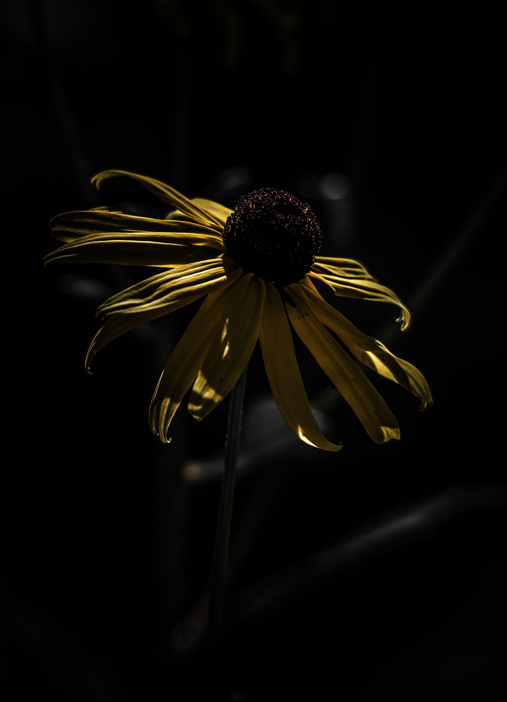 Get out of the dark