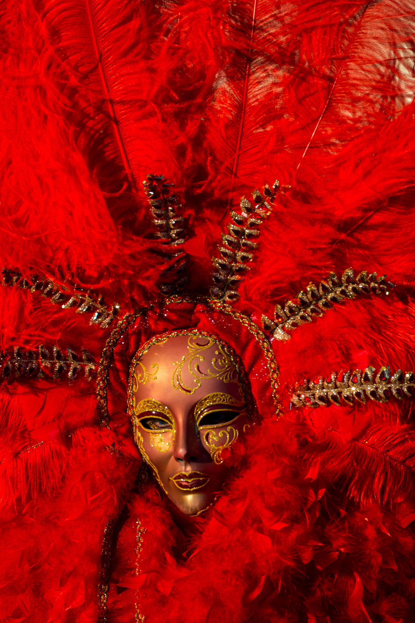 Carnevale di Venezia 2026 (52)