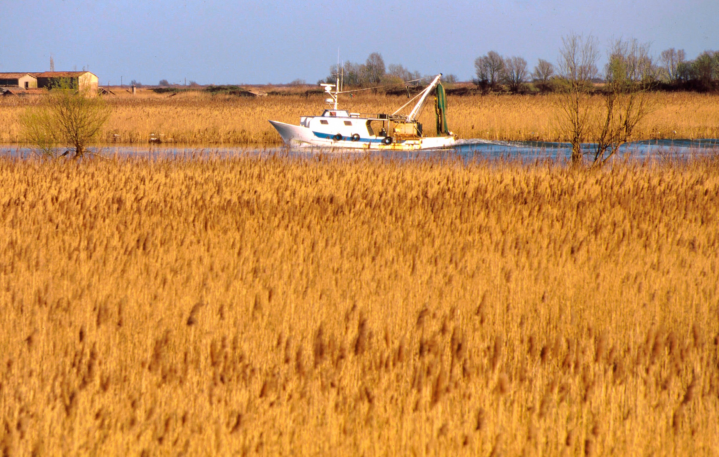 Pila - Delta del Po - 1995