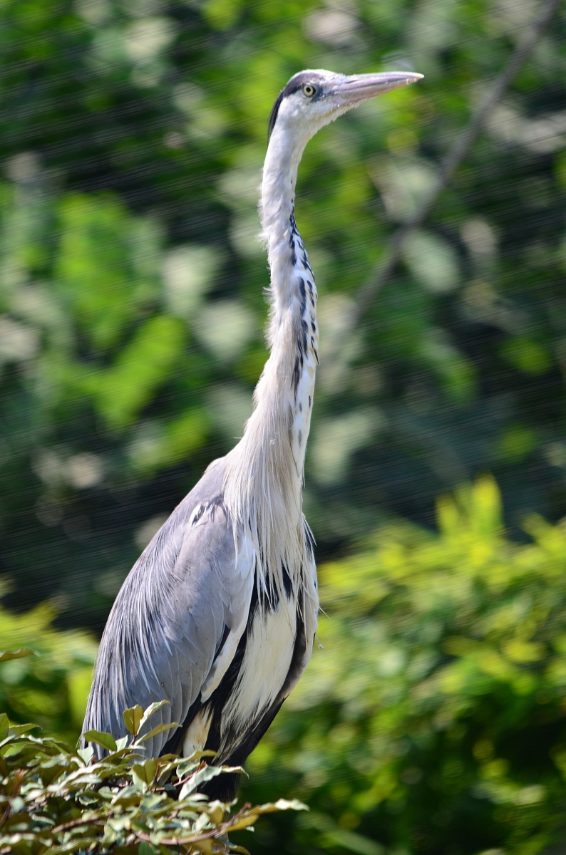 They put me on the lookout today!