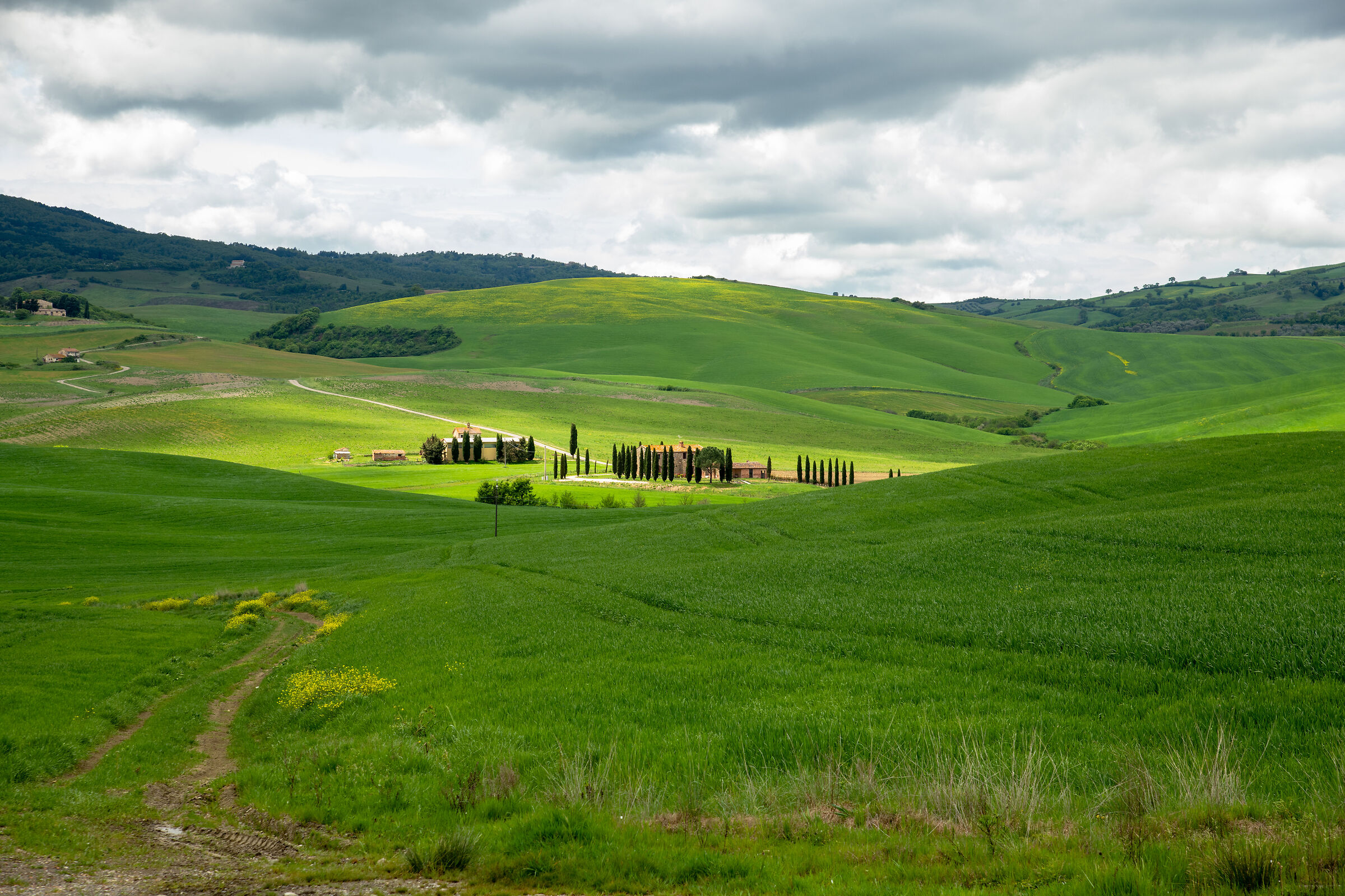 Val d'Orcia in aprile