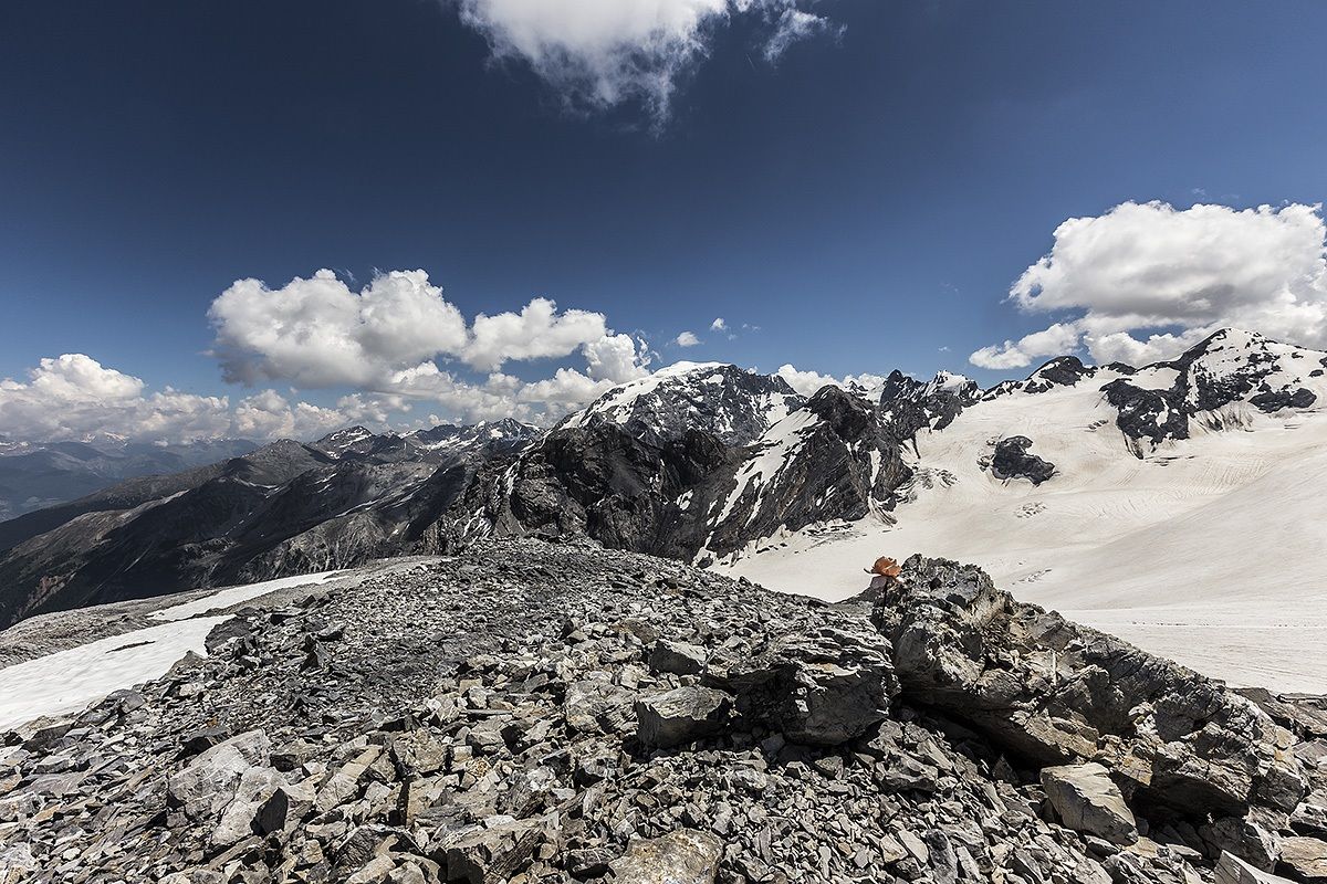 Qualcuno ha posato un fiore