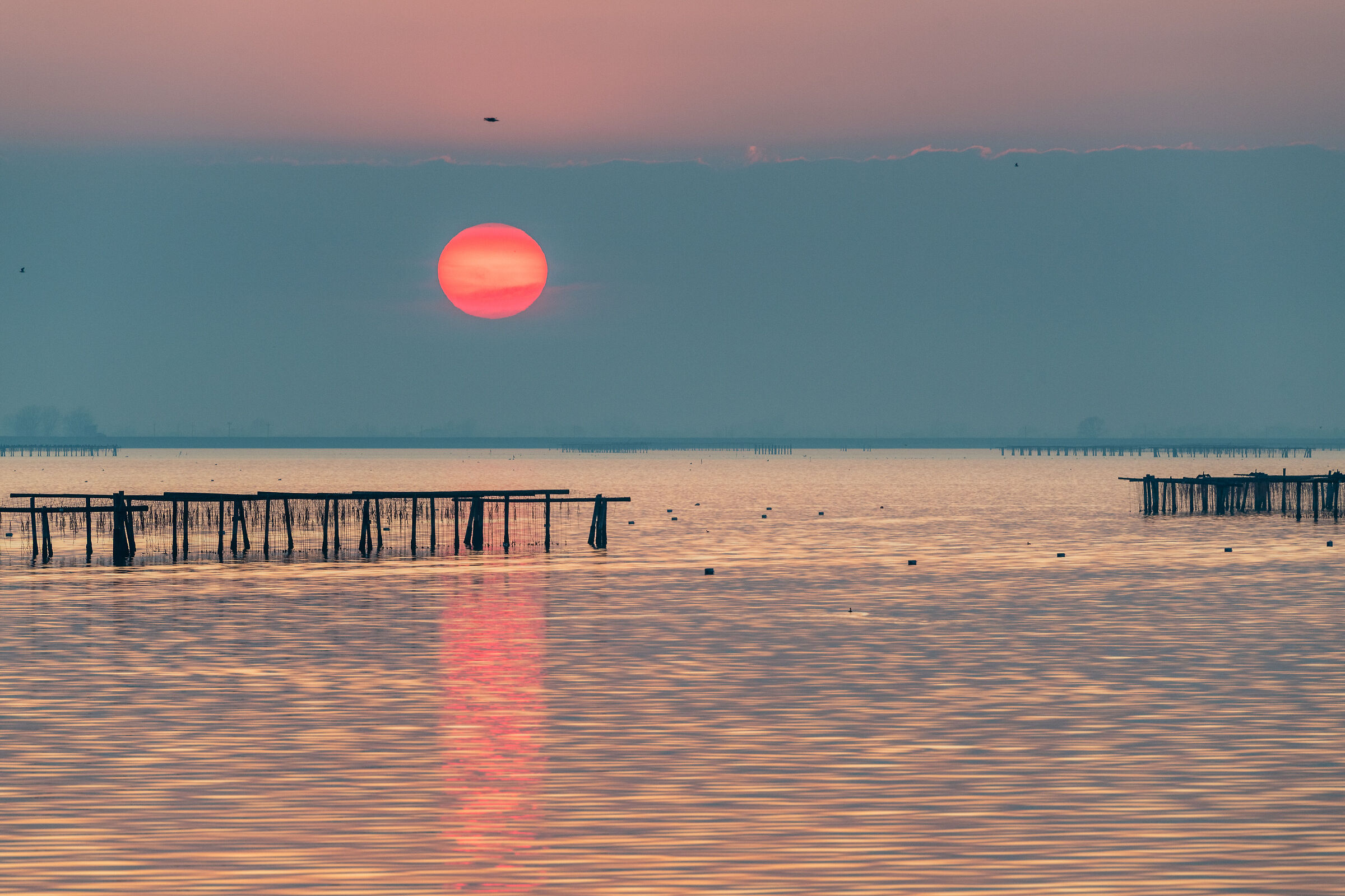 The Sun or Mars?