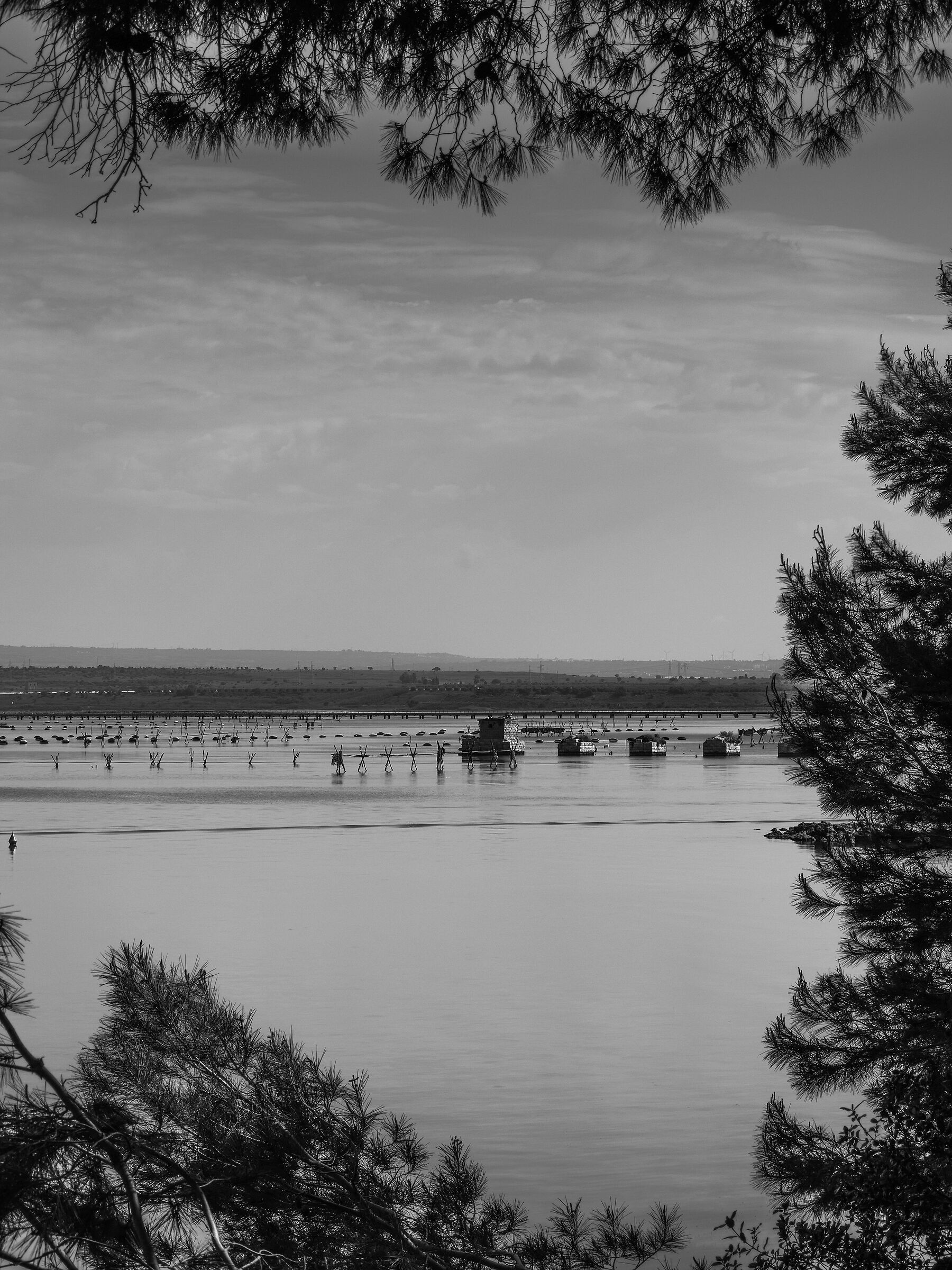 Mar Piccolo tra i pini del Parco Cimino