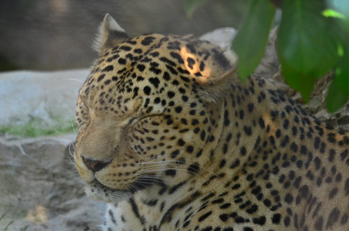 I'll take a good night's sleep