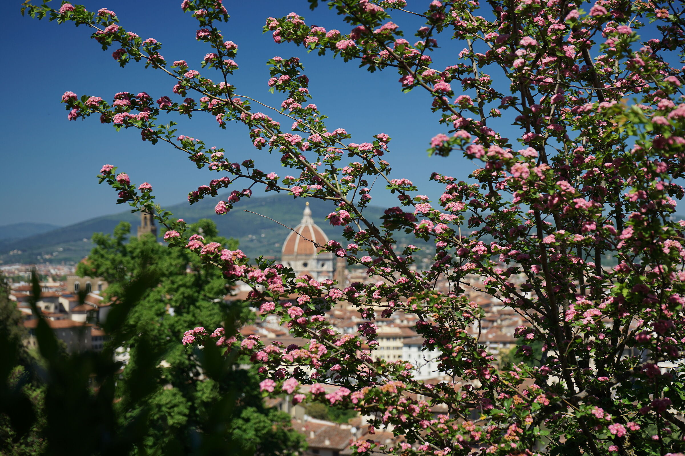 View from the garden of Villa Bardini