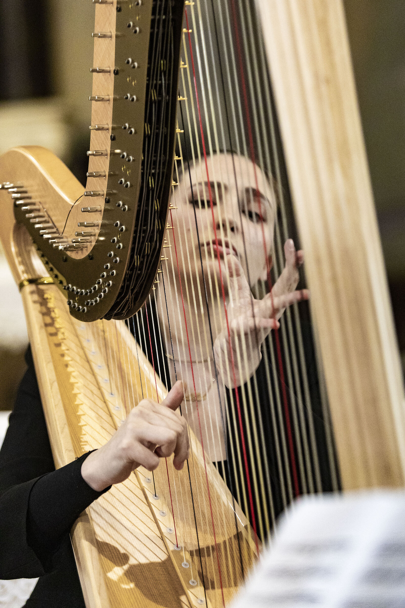 San Donato in Poggio - Harpist Elisabetta Stanghellini