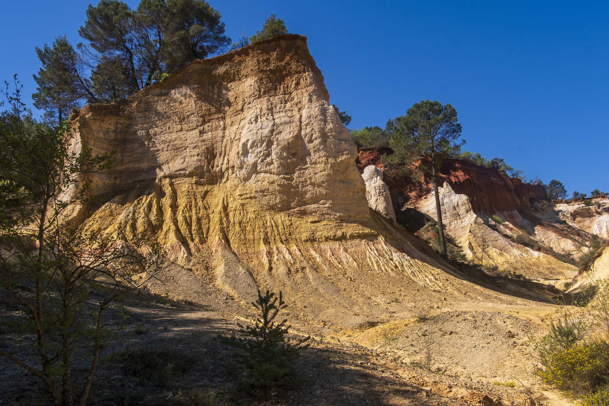 Colorado Provençal