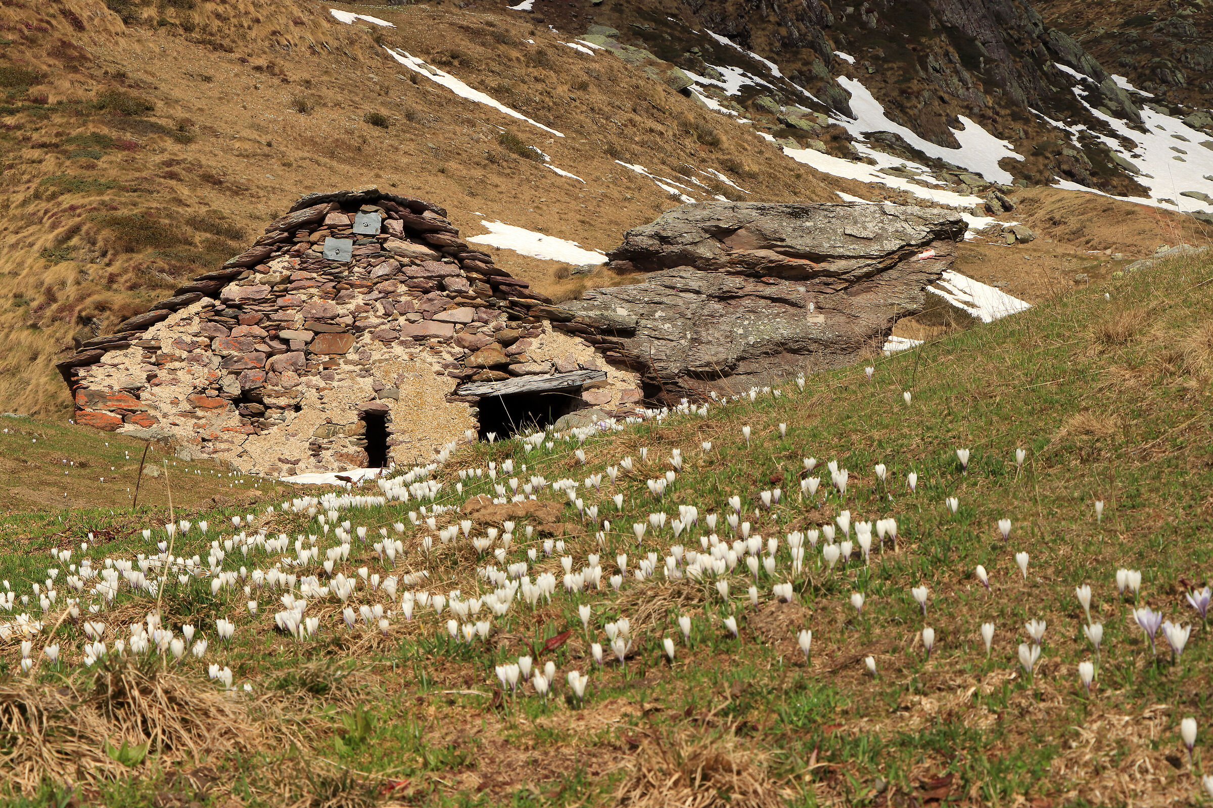 Corte Alta hut