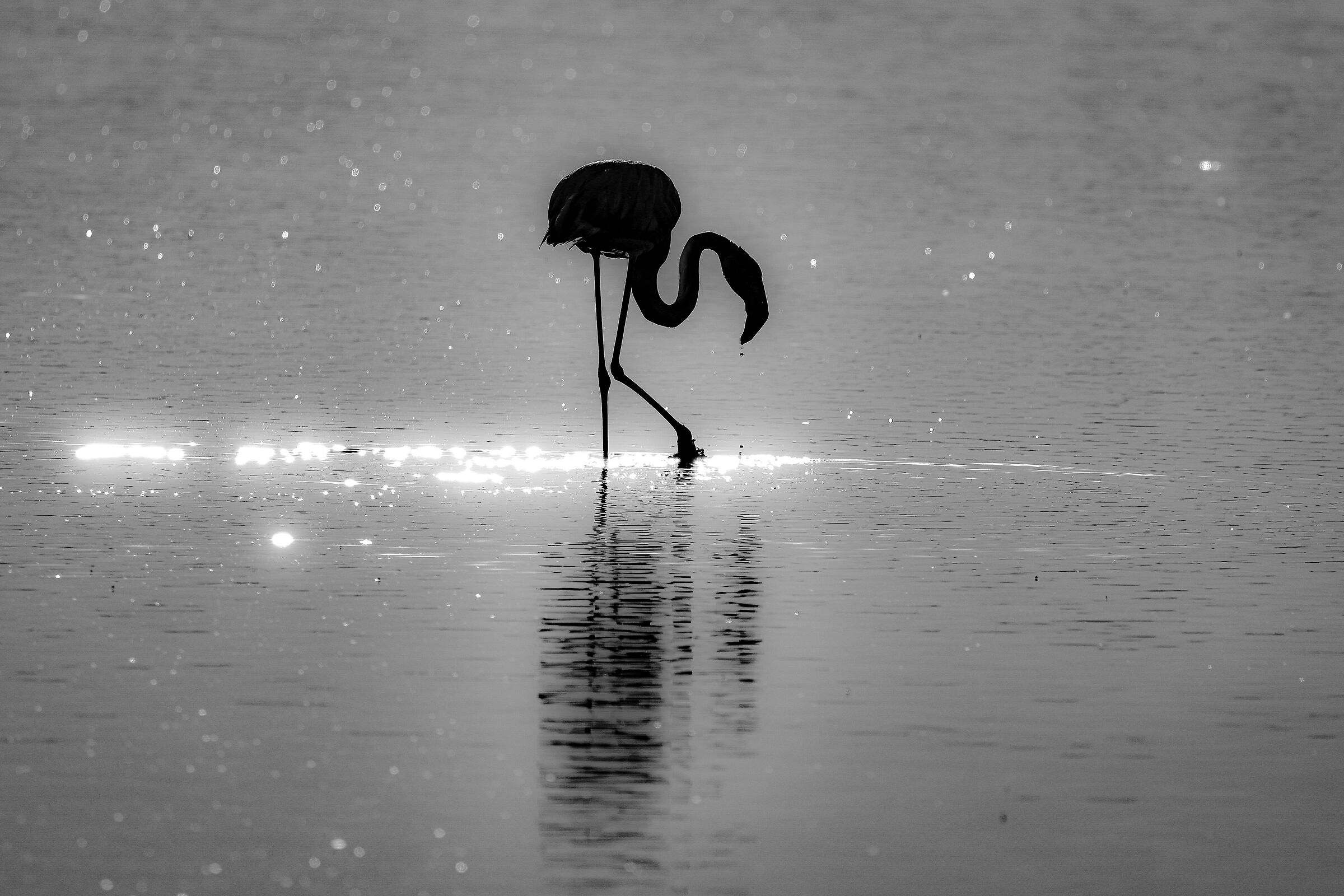 Silence that shines