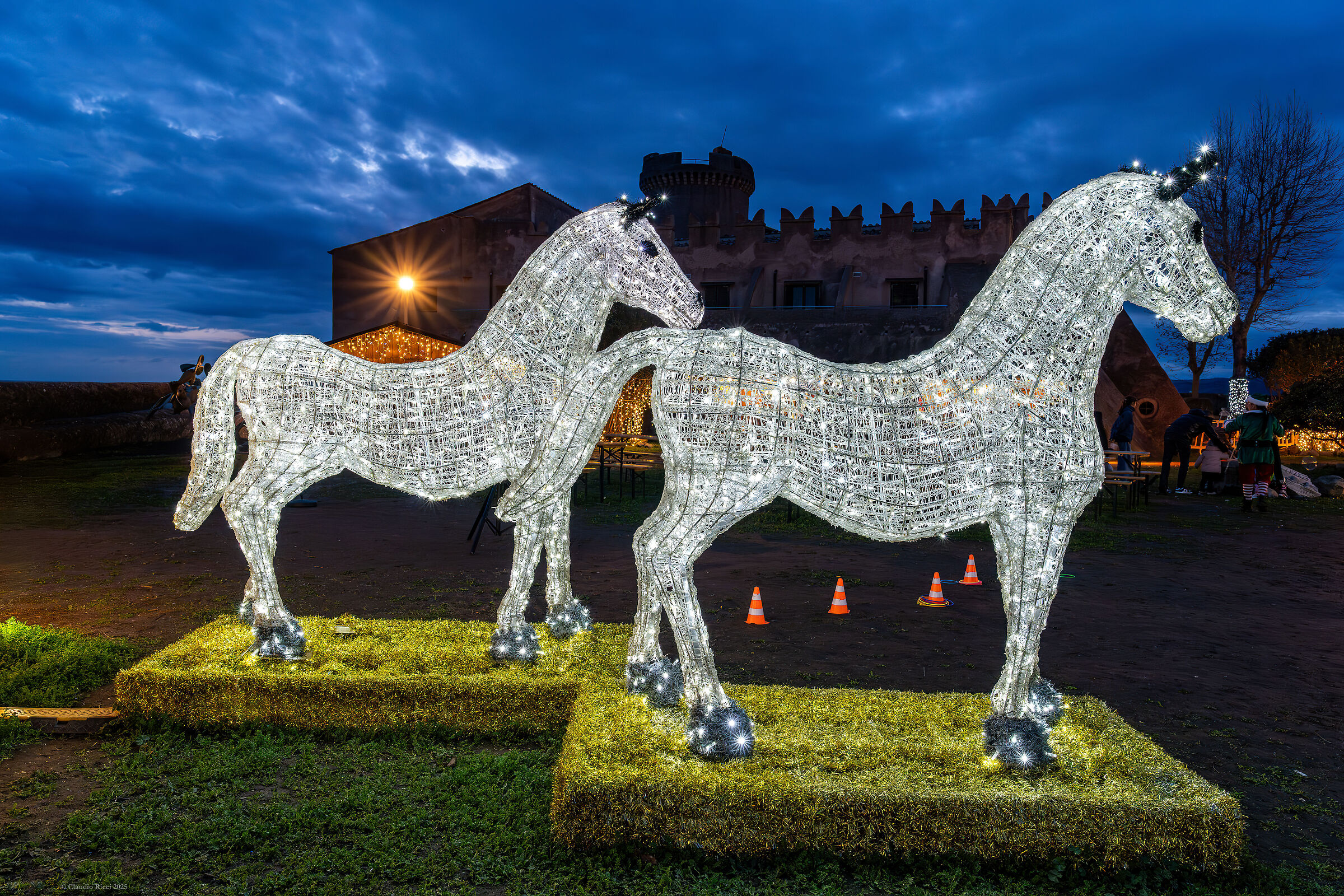 Horses of Light