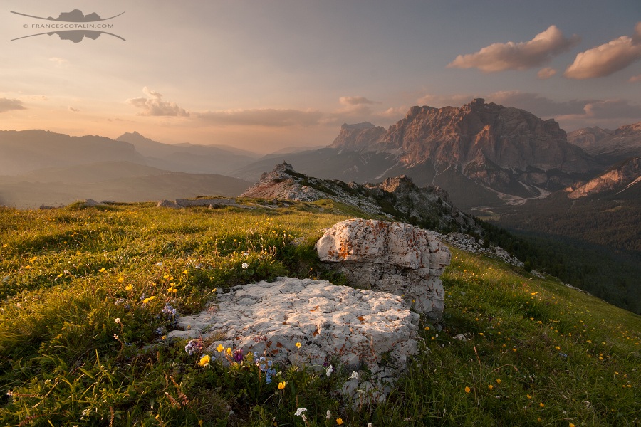 Cold and warm impressions in midsummer