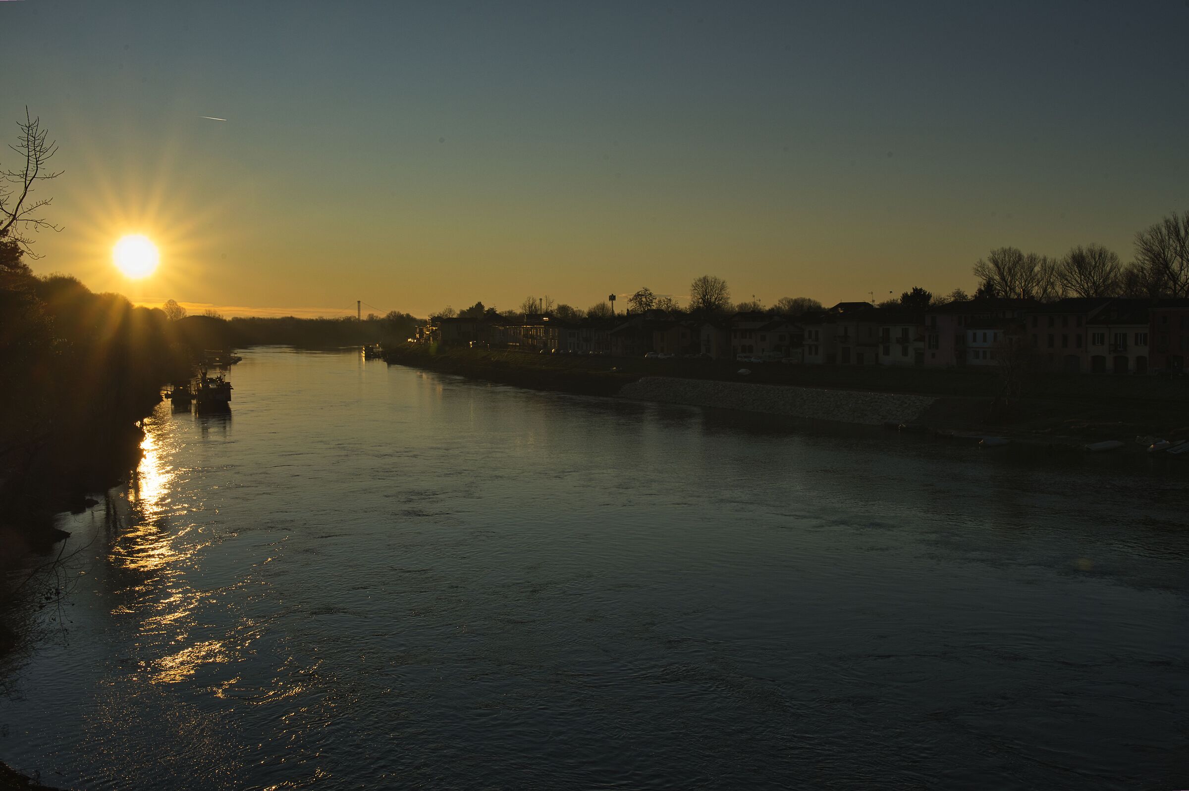 Pavia