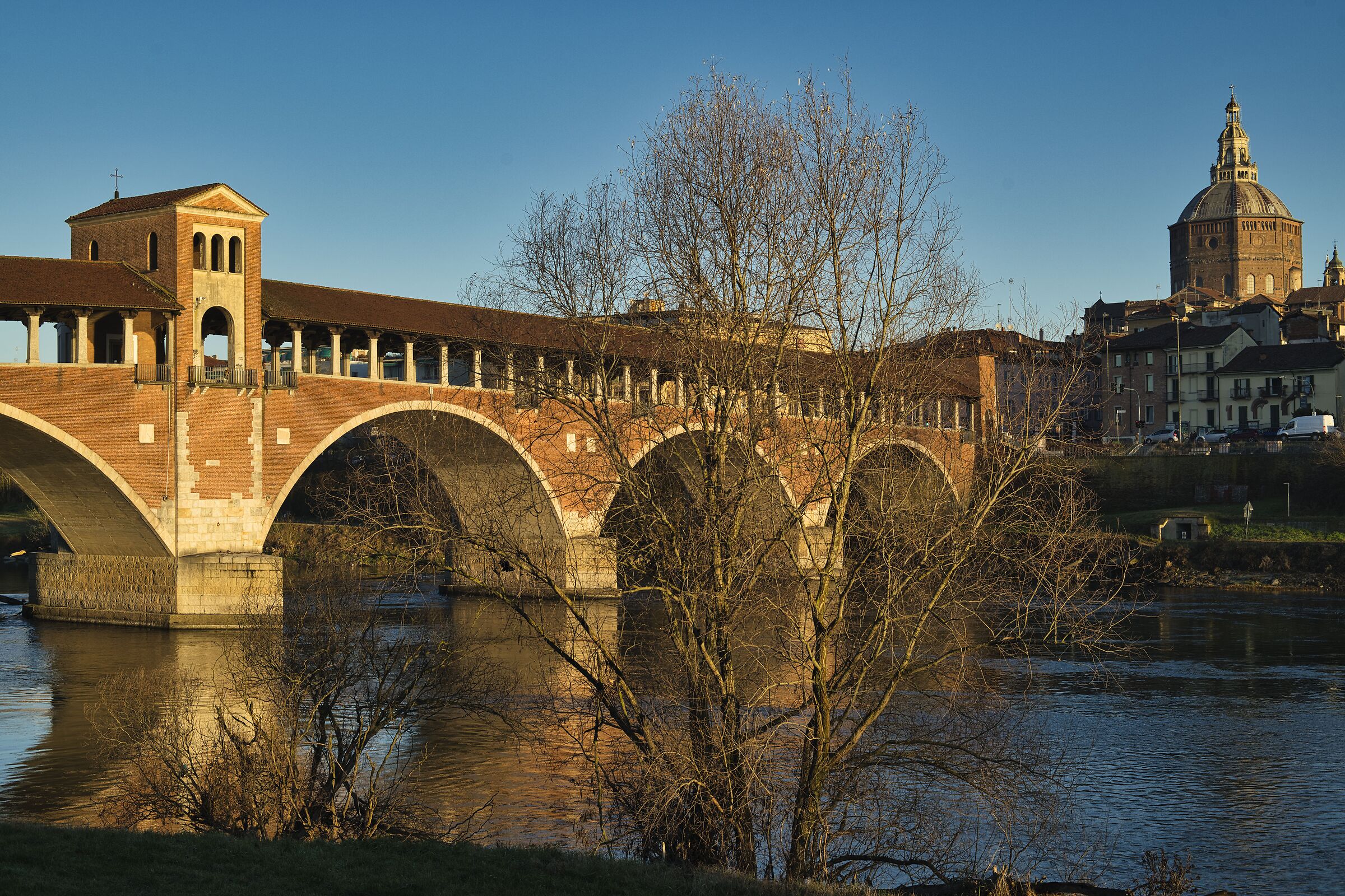 Pavia