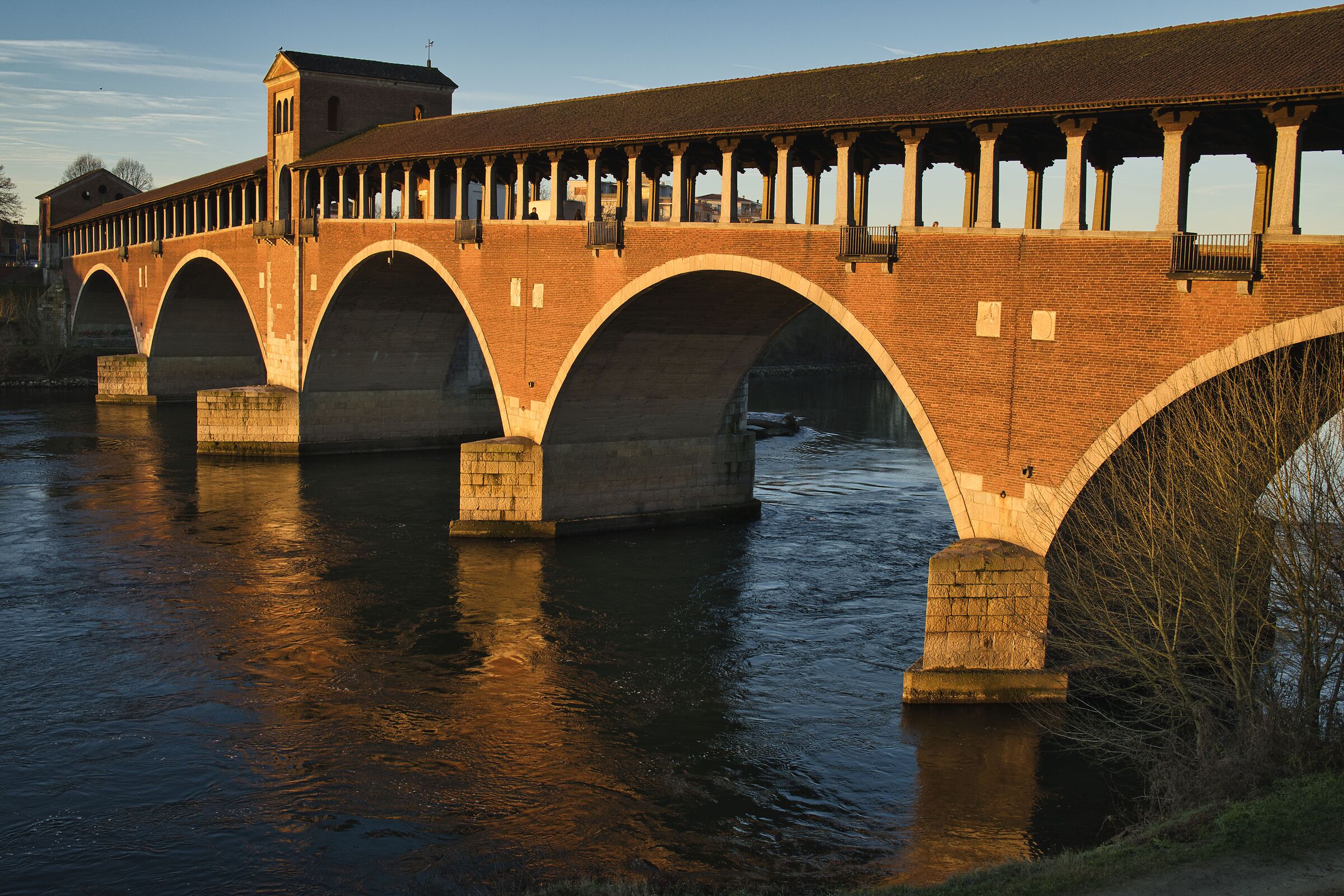 Pavia