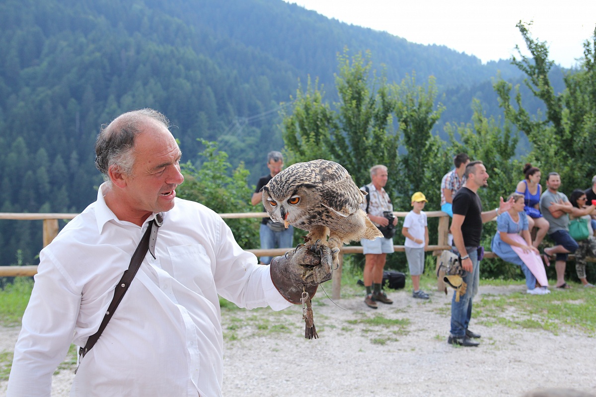 Gufo Reale con falconiere :manifestazione falconeria