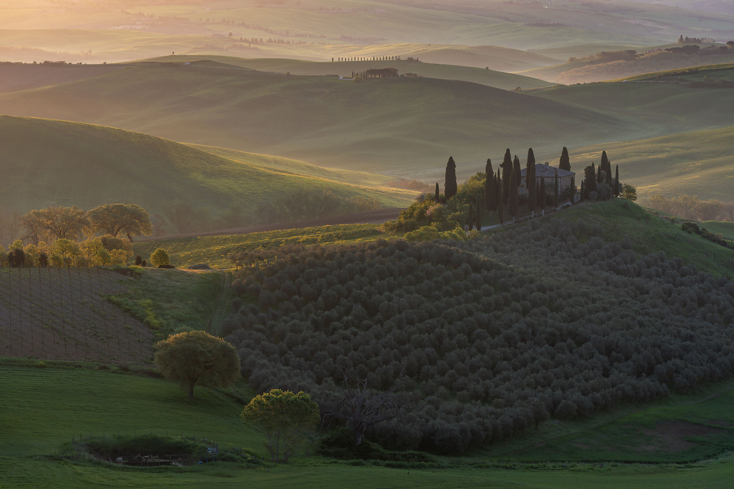 alba Toscana