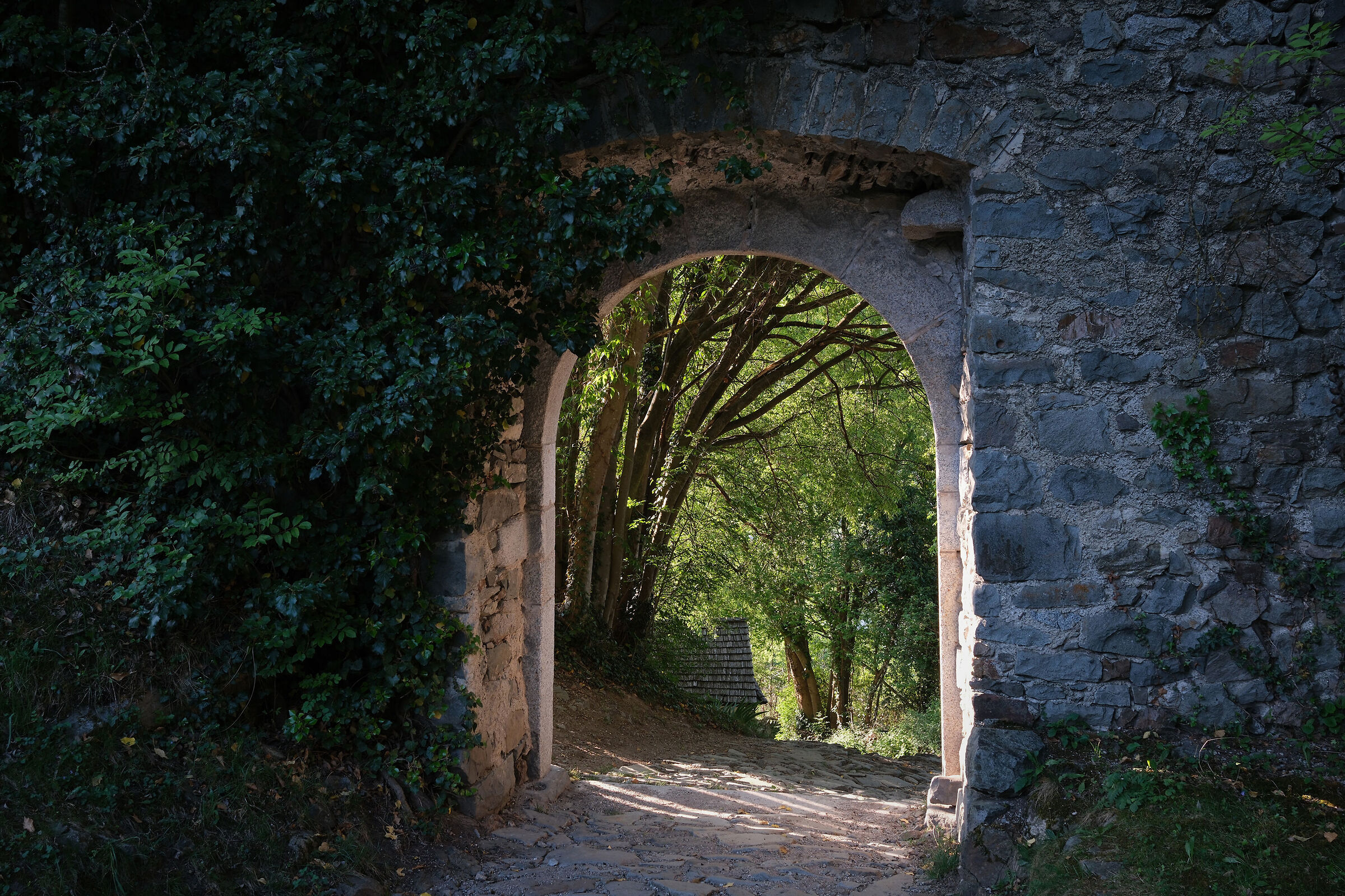 -il passaggio verso la luce-
