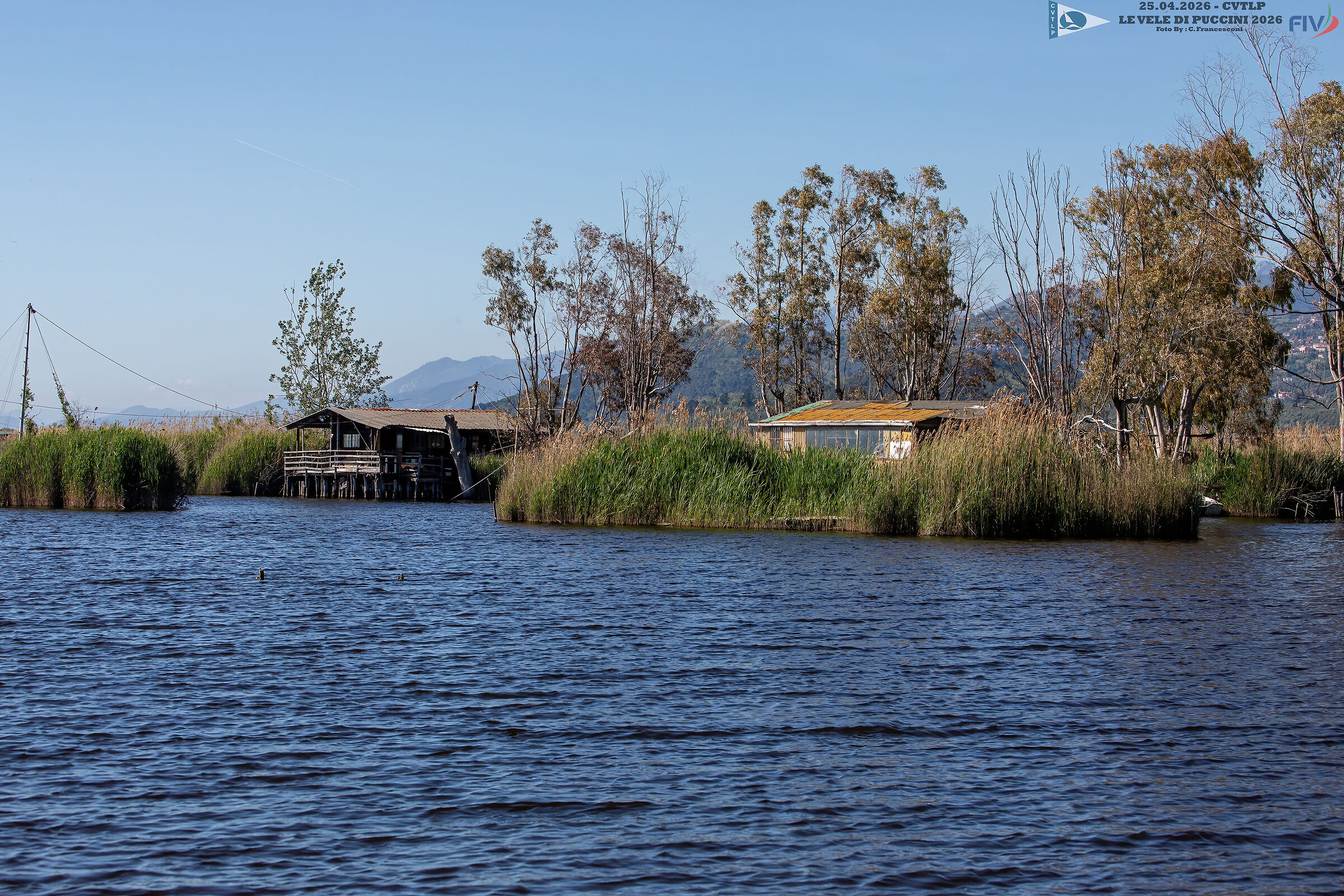 Canali Sul Lago di Massaciuccoli
