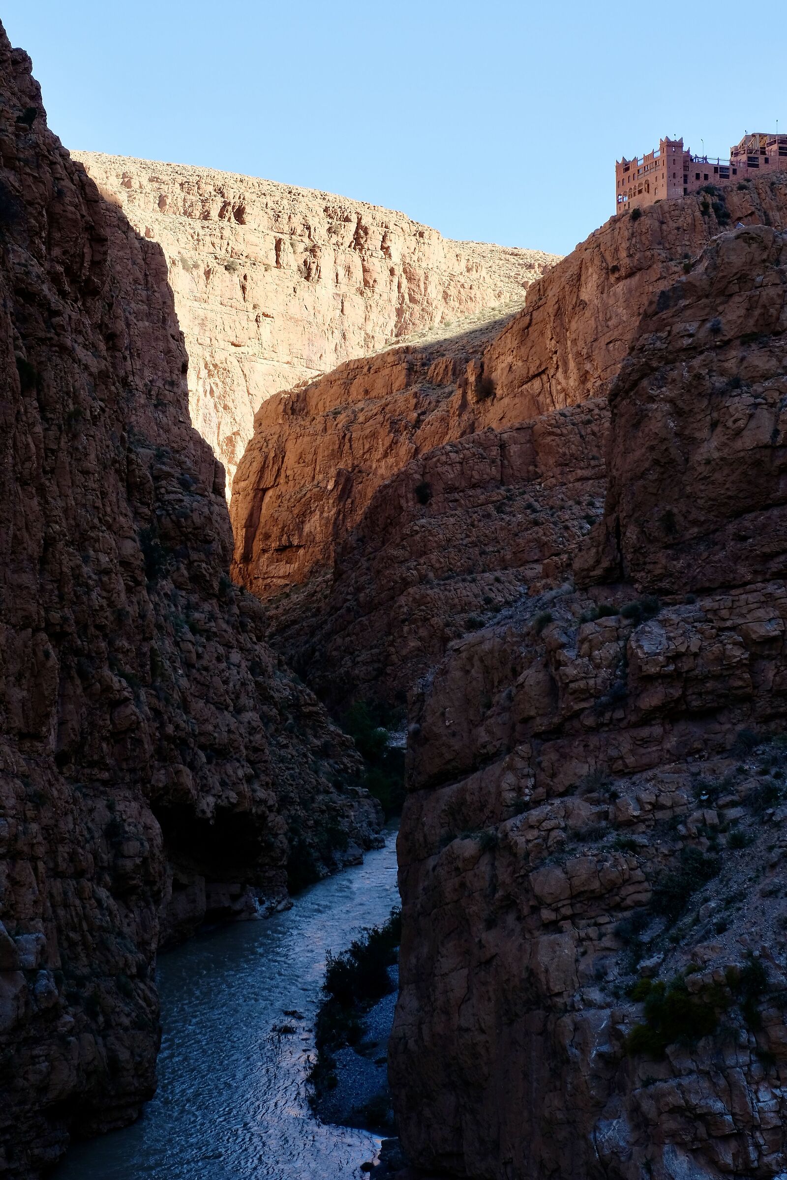 Untitled Photo
