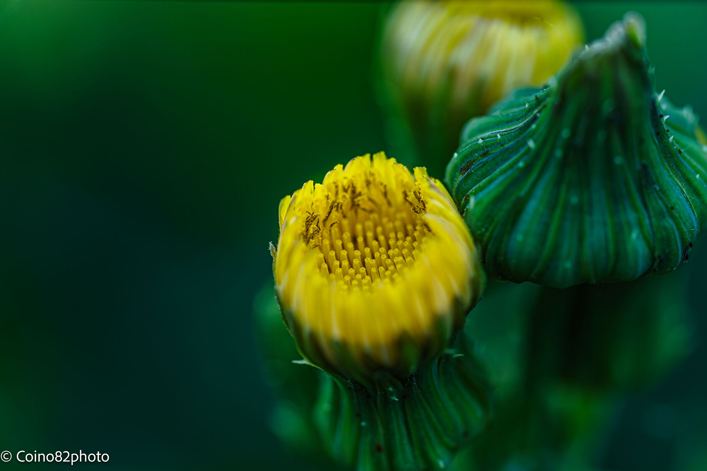 Untitled Photo