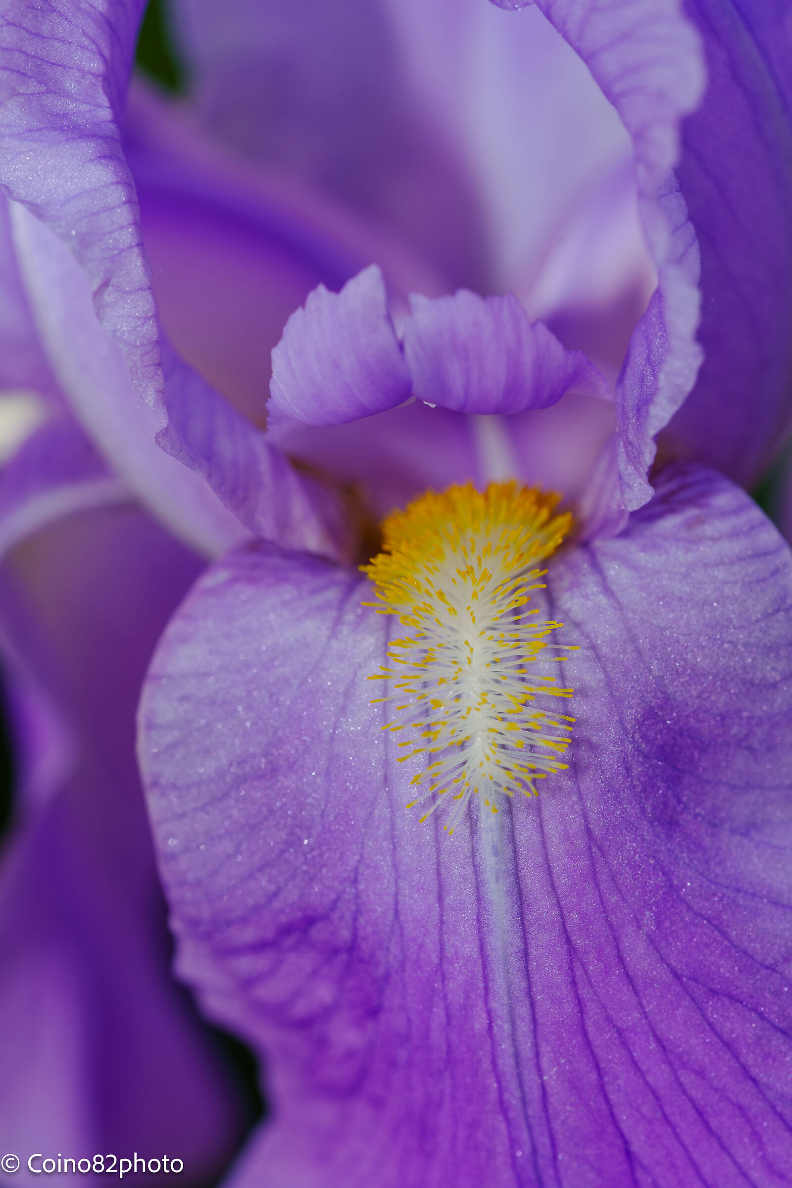 Untitled Photo