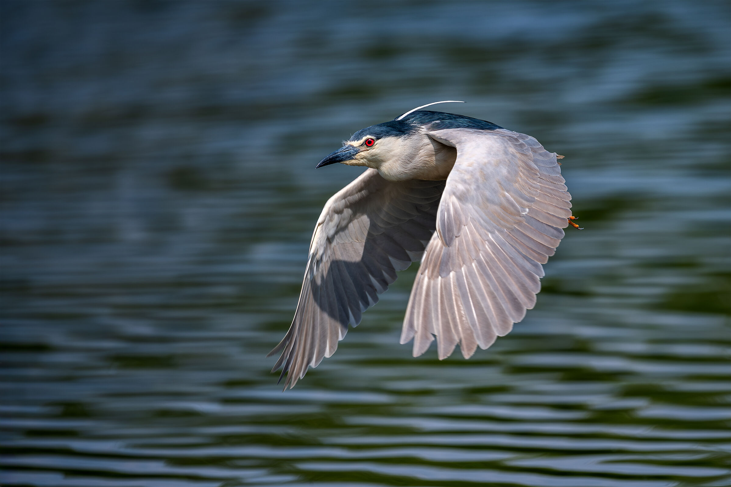 Flying...
