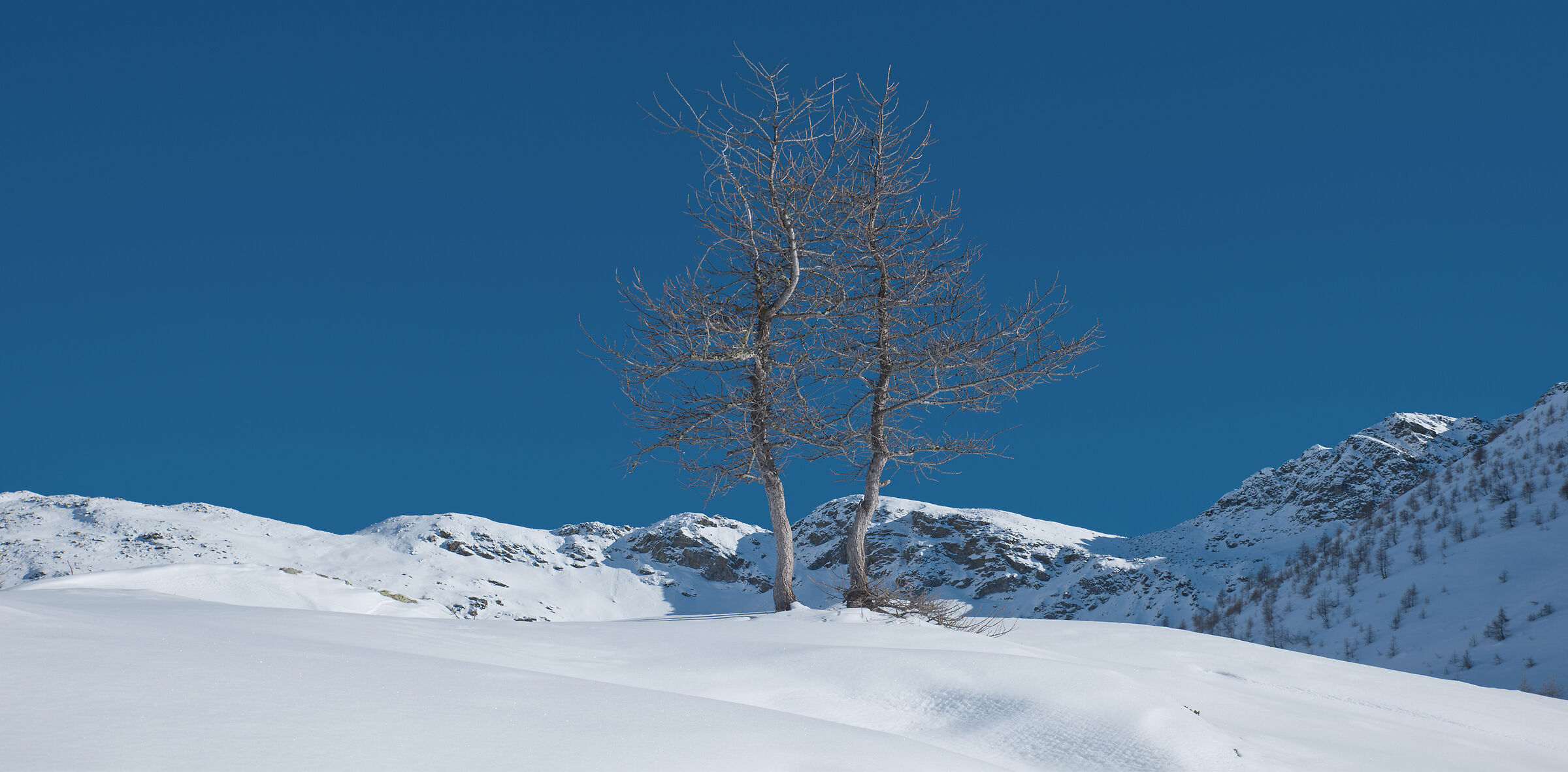 Val d'Aosta-January 2024 snowshoeing Artaz-Alpe Champlon