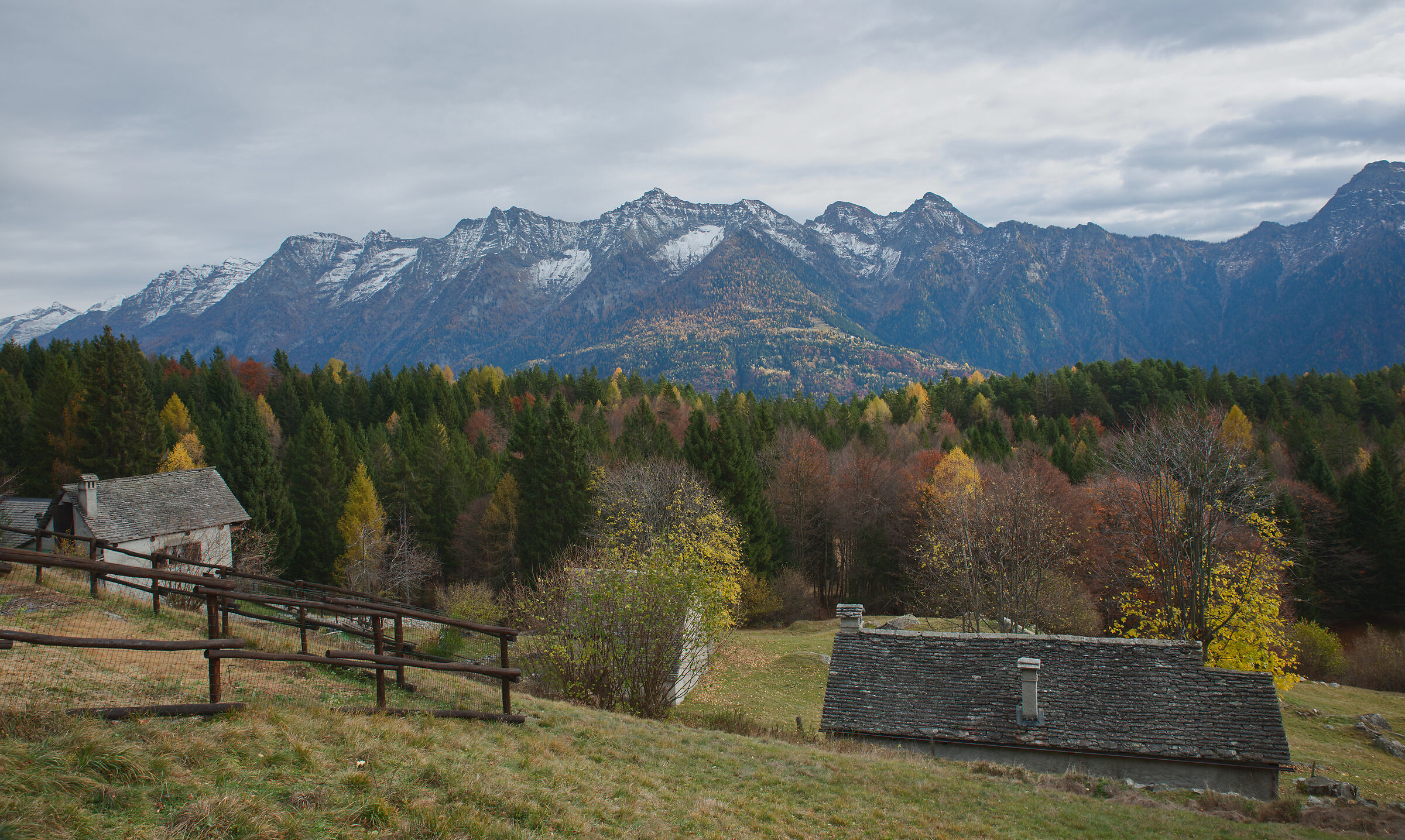 Val d'Ossola-the mountain pastures above Crodo