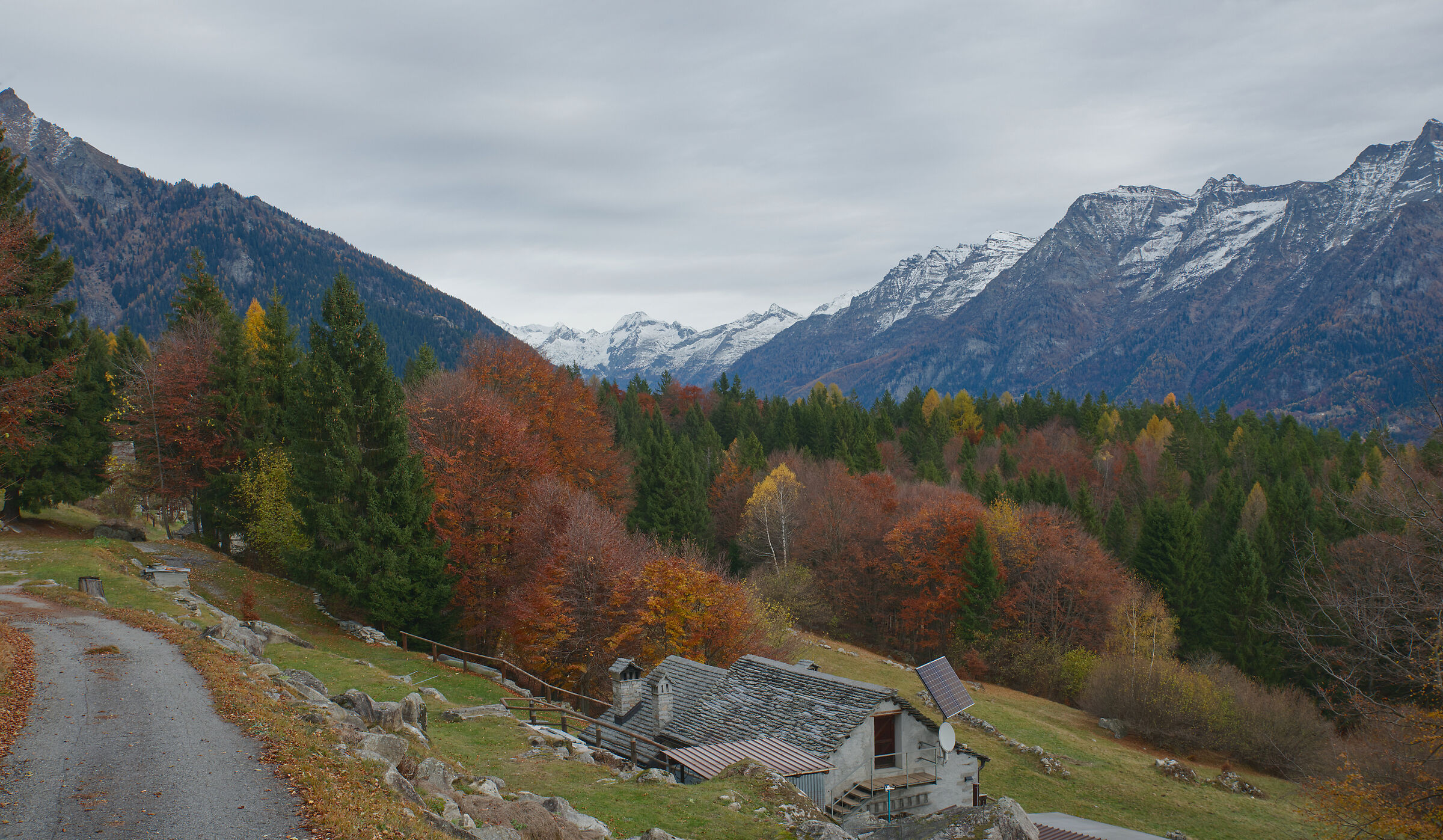 Val d'Ossola-the mountain pastures above Crodo