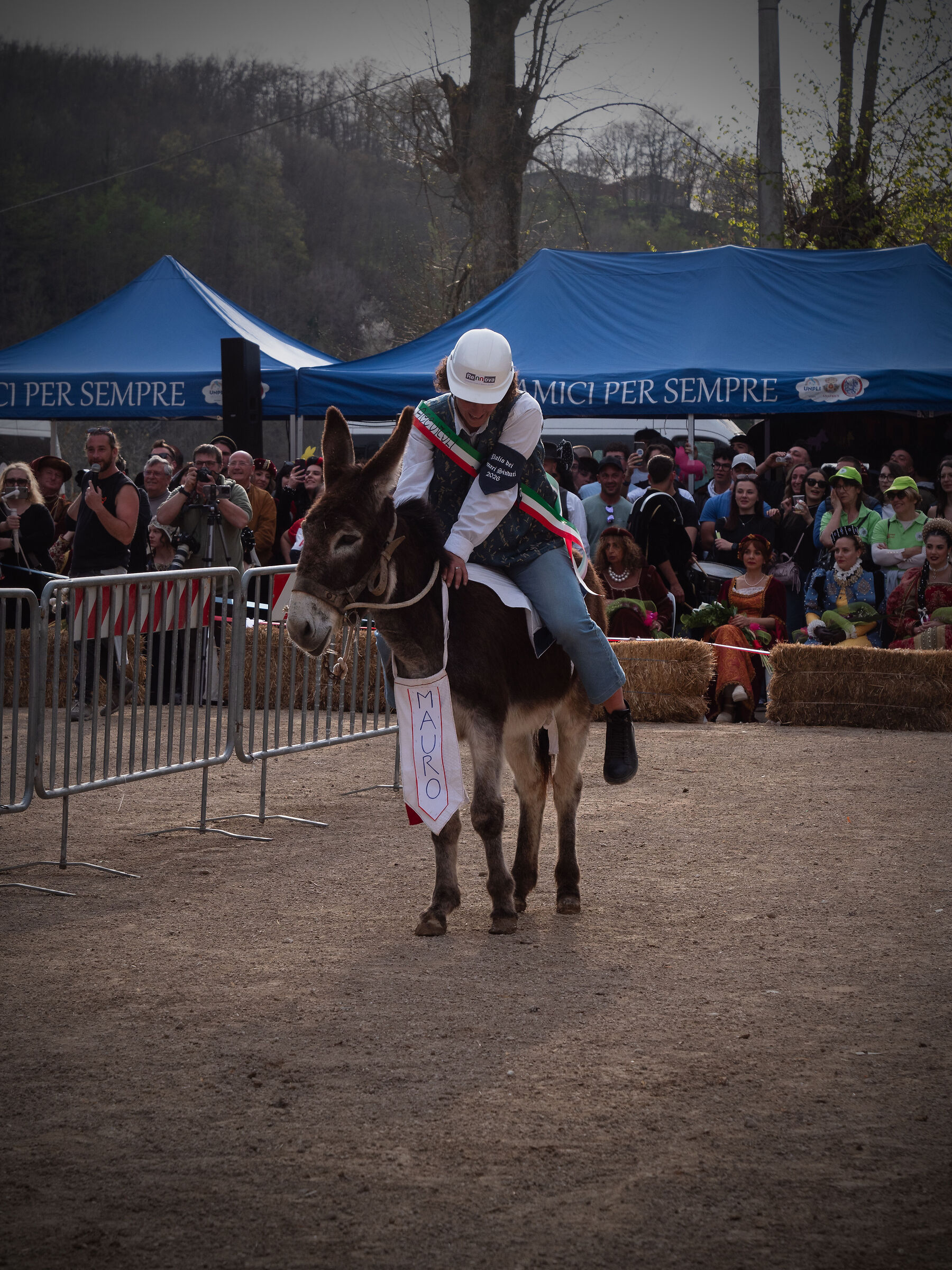 Amatrice Palio of donkeys
