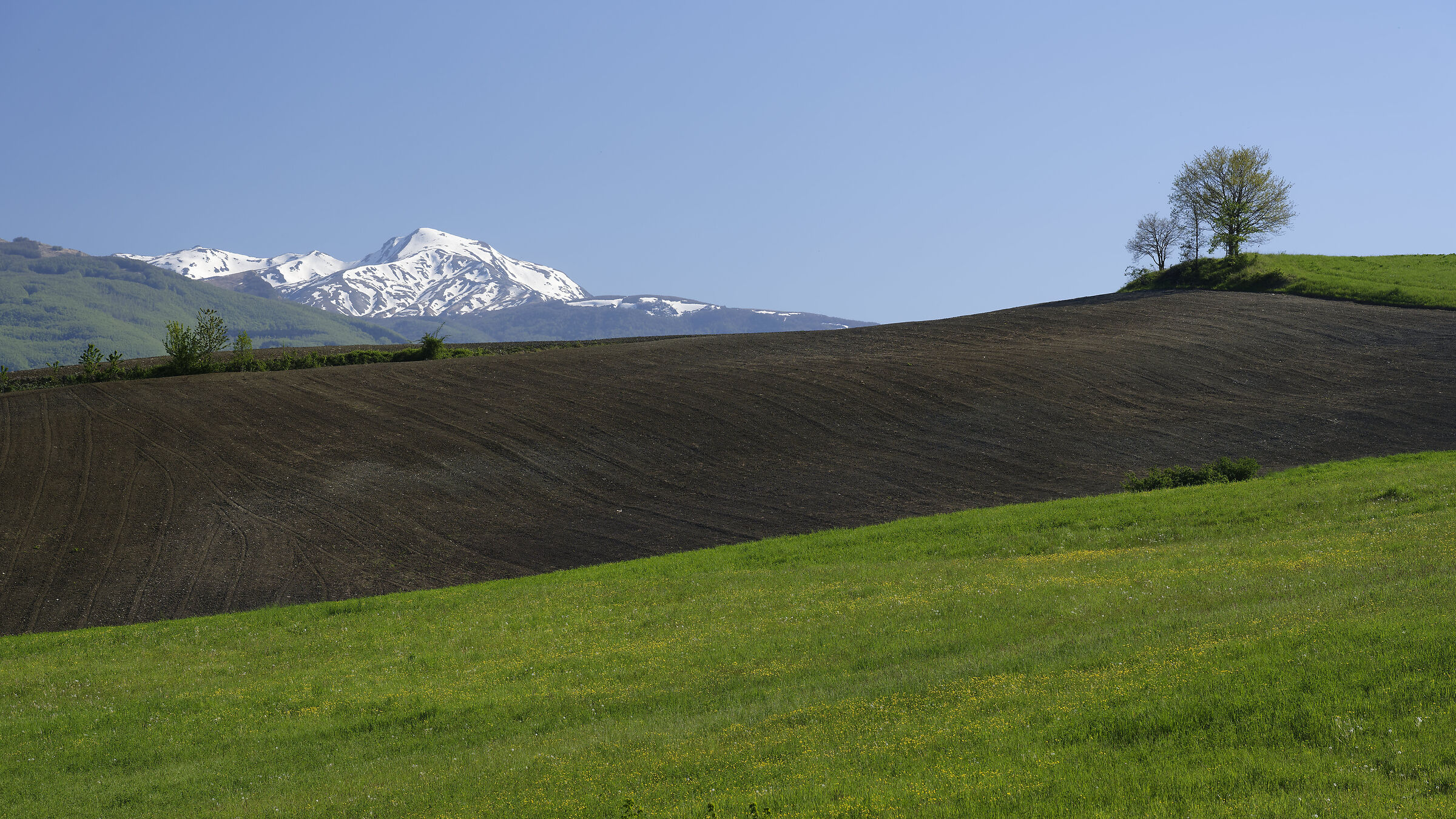 Mount Cusma